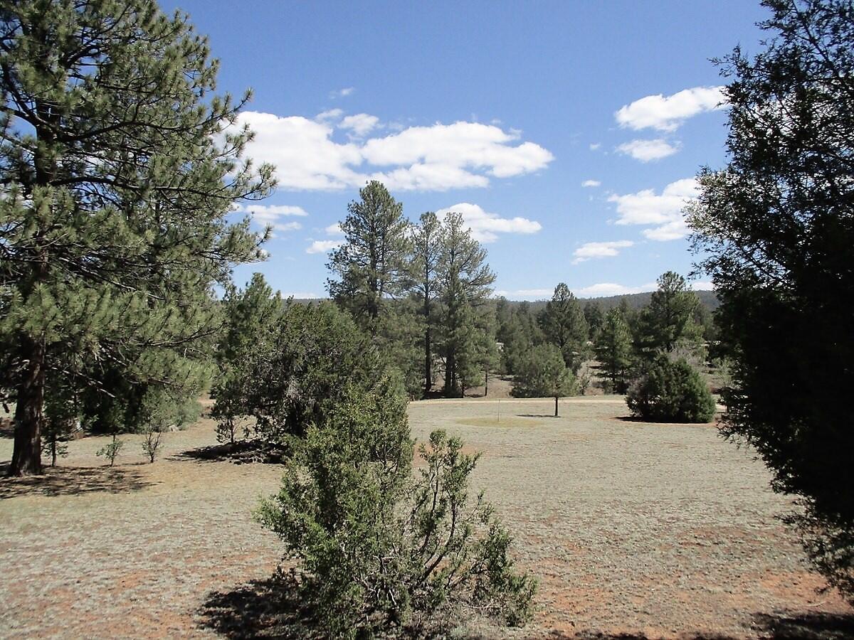 Photo 3 — 18 E Bobcat Drive