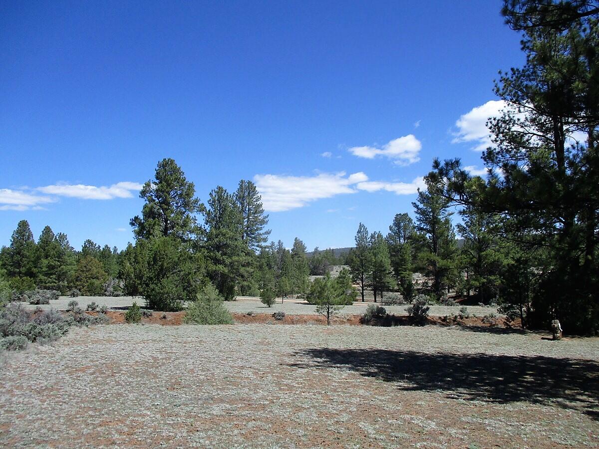 Photo 4 — 18 E Bobcat Drive