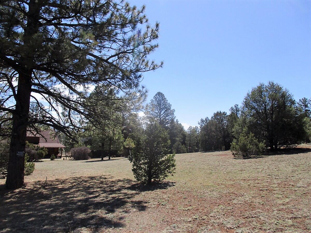 Photo 6 — 18 E Bobcat Drive