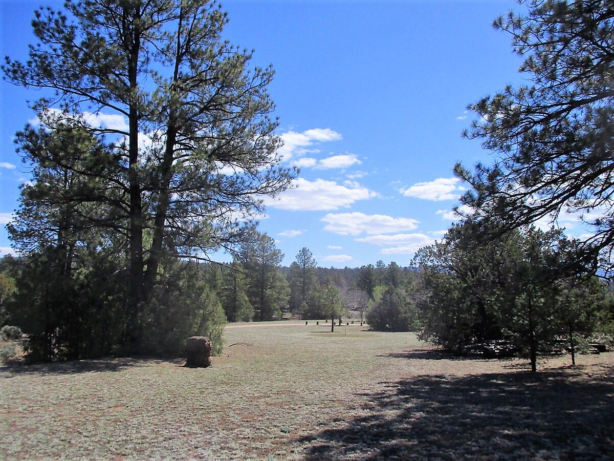 Photo 7 — 18 E Bobcat Drive