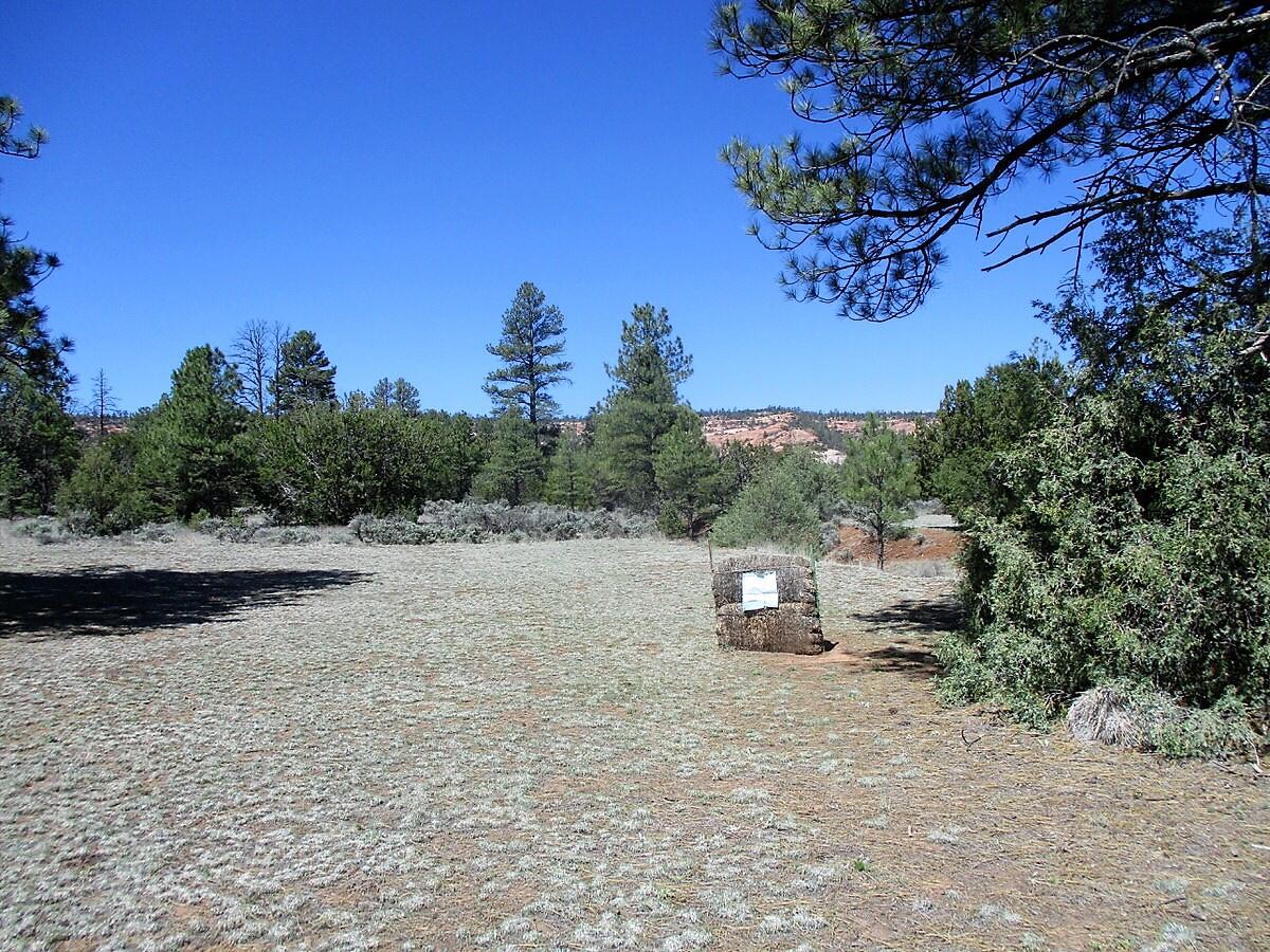Photo 9 — 18 E Bobcat Drive