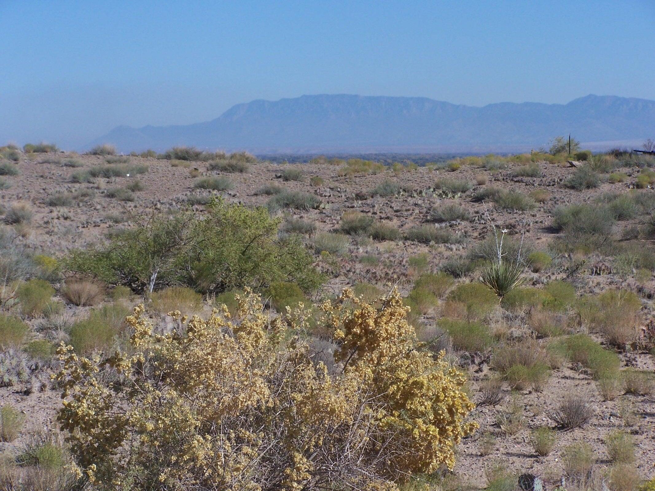 00 Erica Lane, Belen, NM 87002