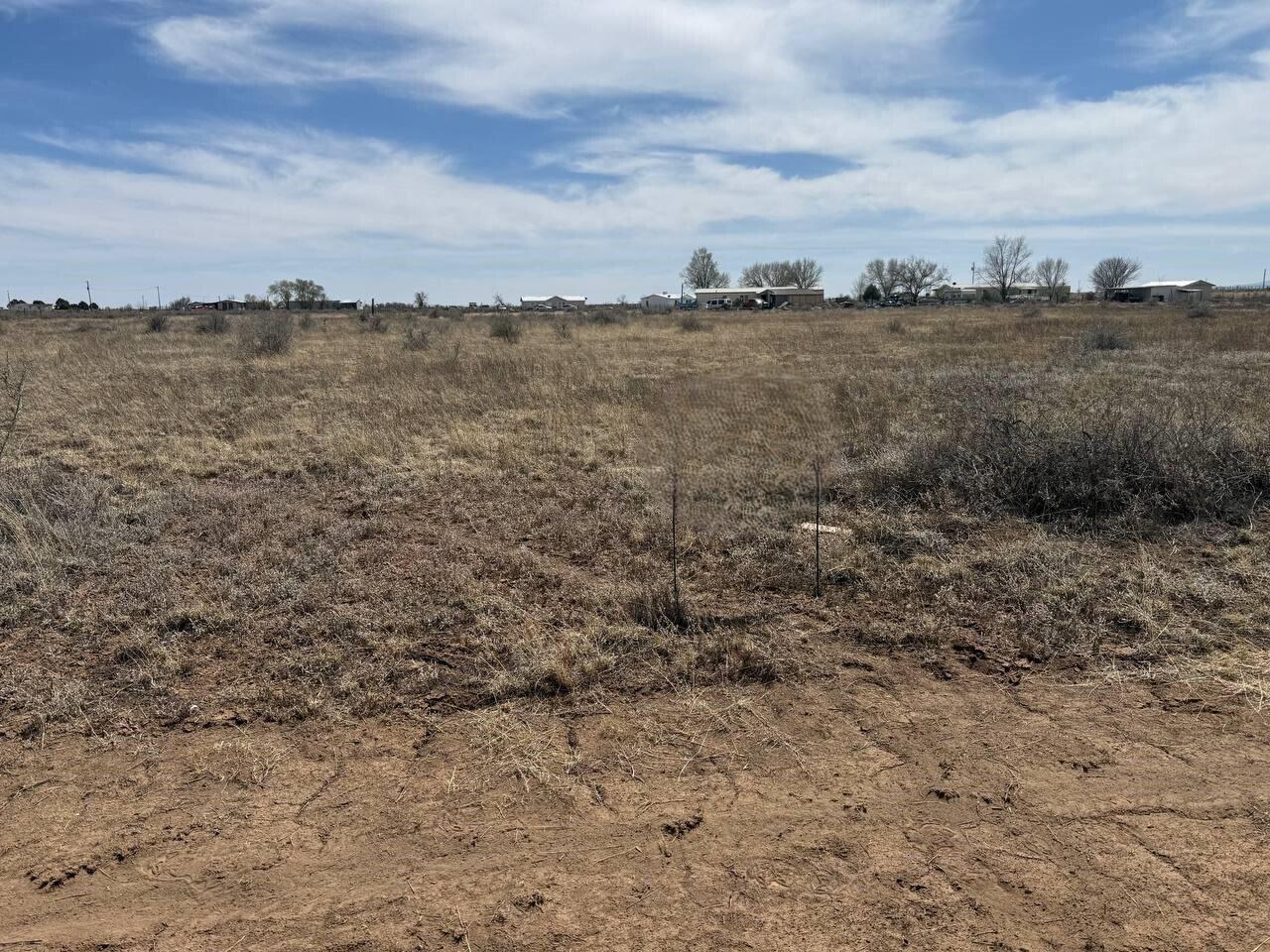 Photo 8 — 29 Hidalgo Road SW
