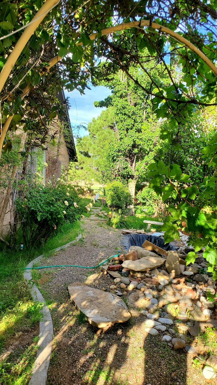 Photo 20 — 10216 Magid Street NW