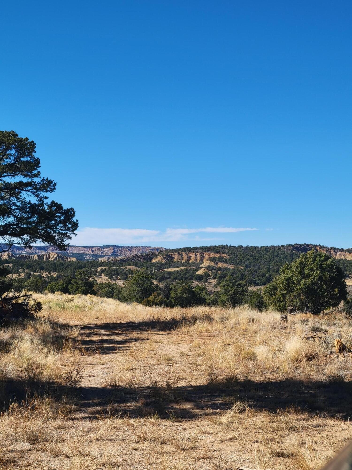 Photo 4 —  San Jose Trail