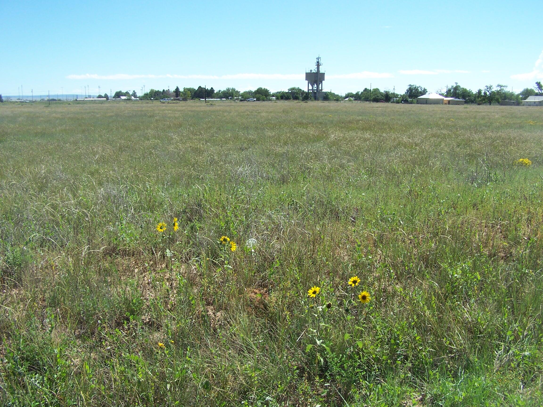  8TH ST/AMELIA- East, Moriarty, NM 87035