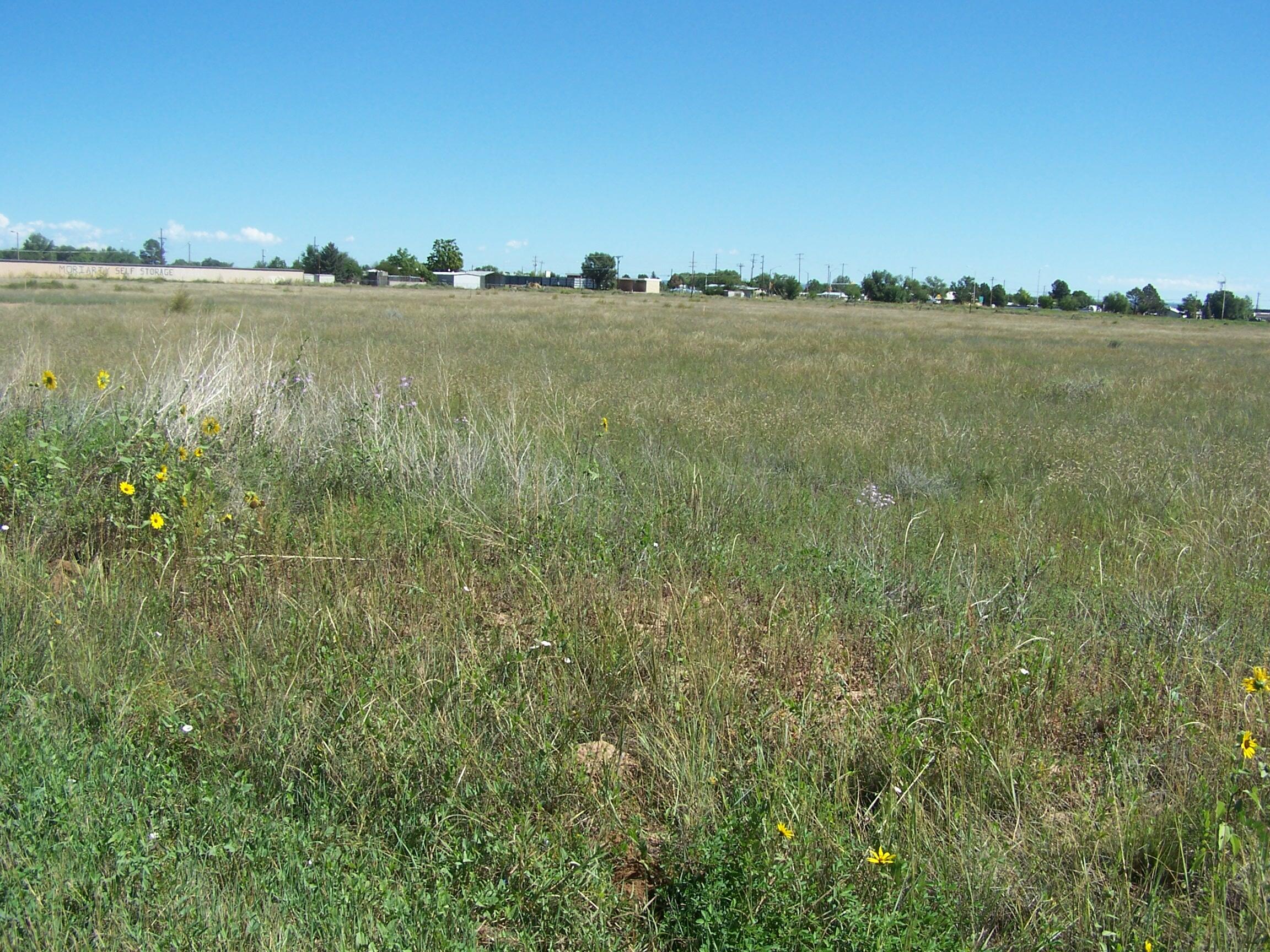 Photo 2 —  8TH ST/AMELIA- East