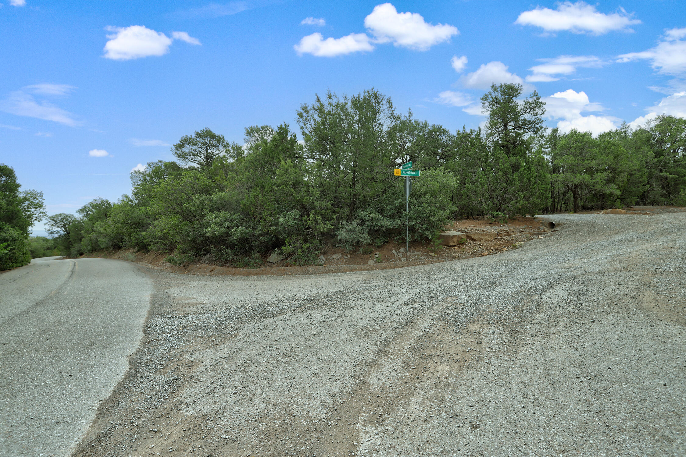 Photo 4 — 3 Equestrian Court