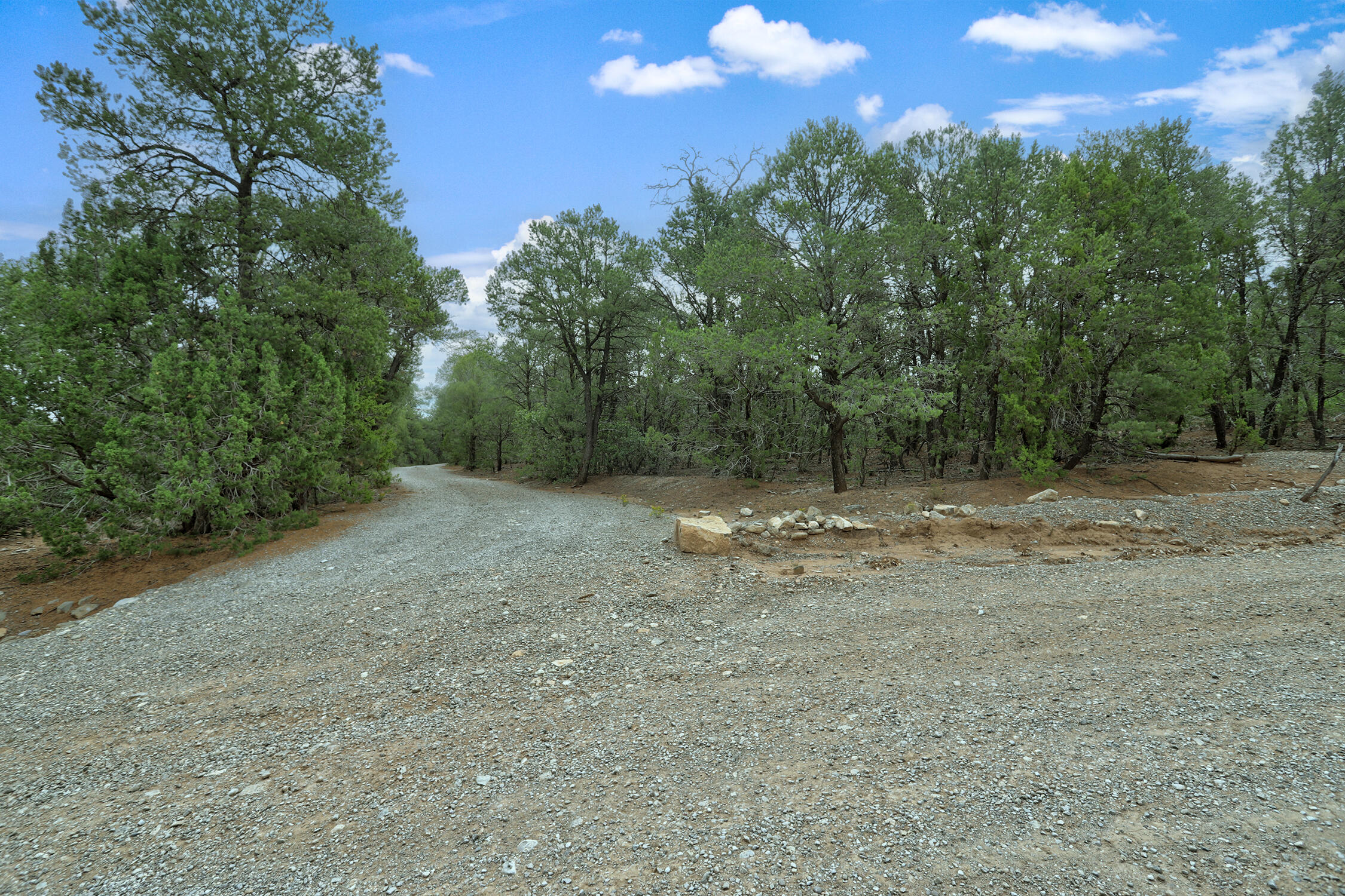 Photo 2 — 3 Equestrian Court