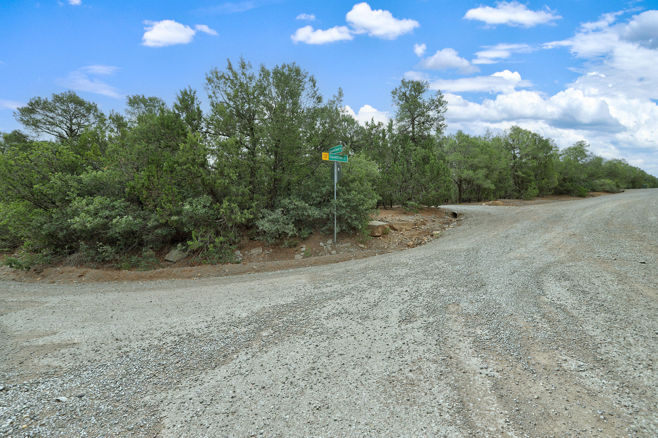 Photo 20 — 3 Equestrian Court