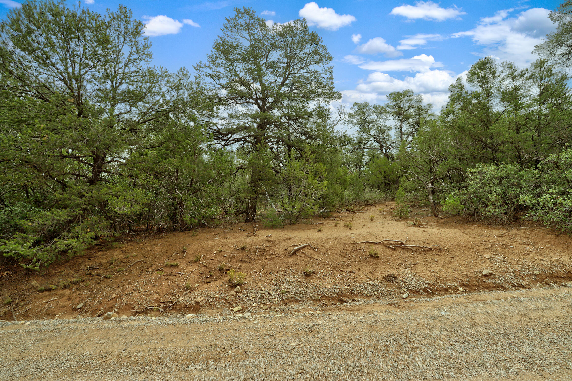 Photo 18 — 3 Equestrian Court