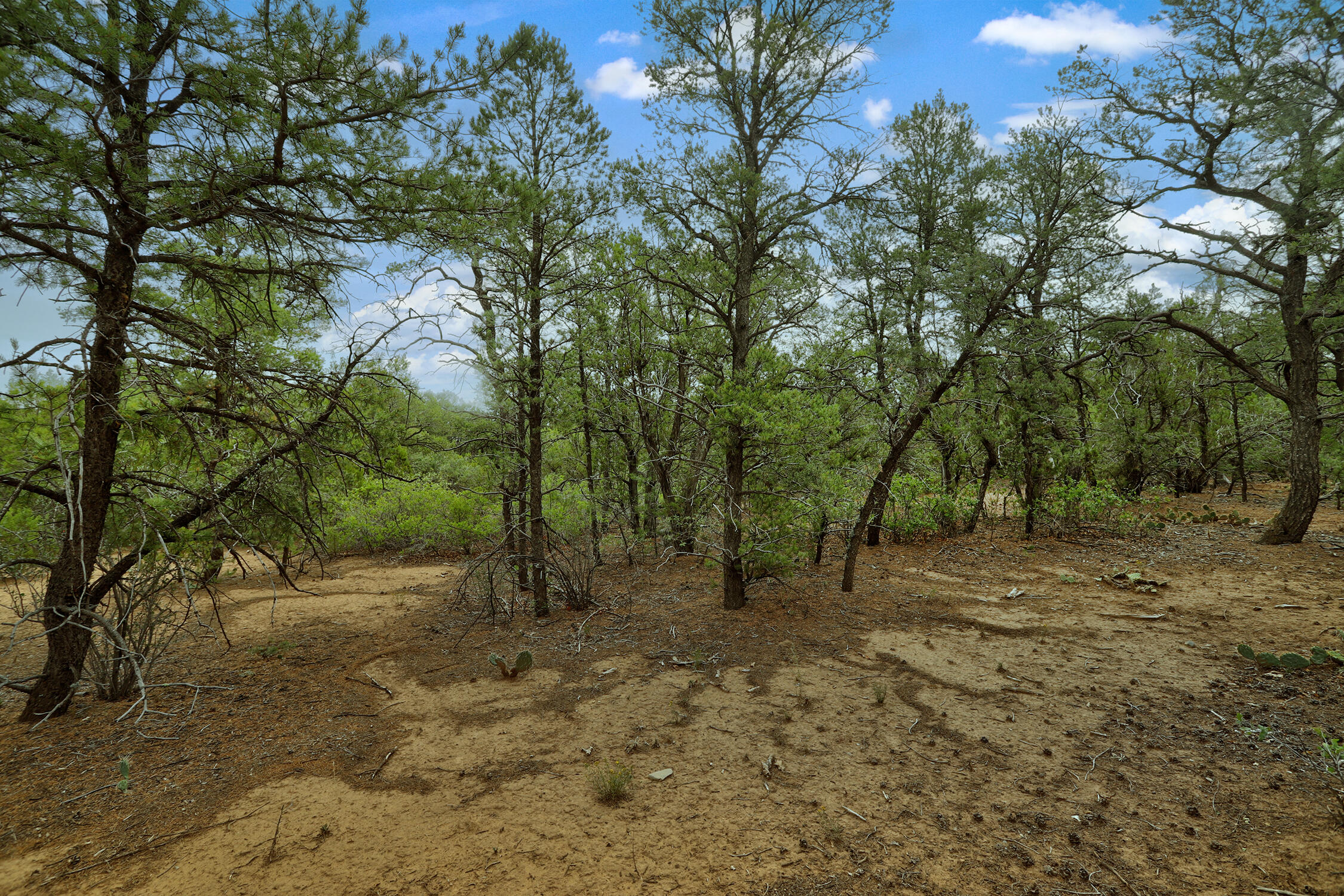 Photo 17 — 3 Equestrian Court