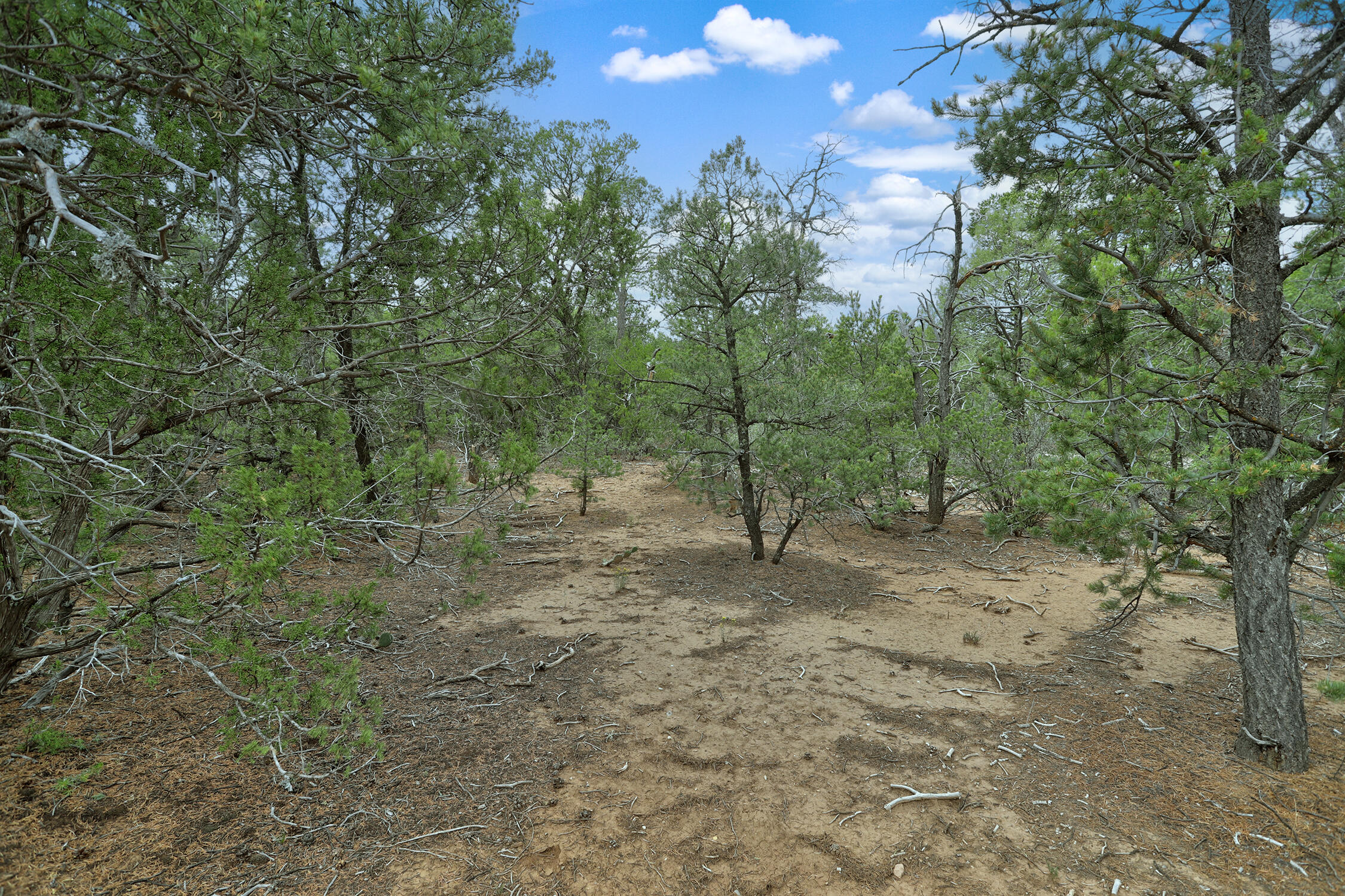 Photo 15 — 3 Equestrian Court