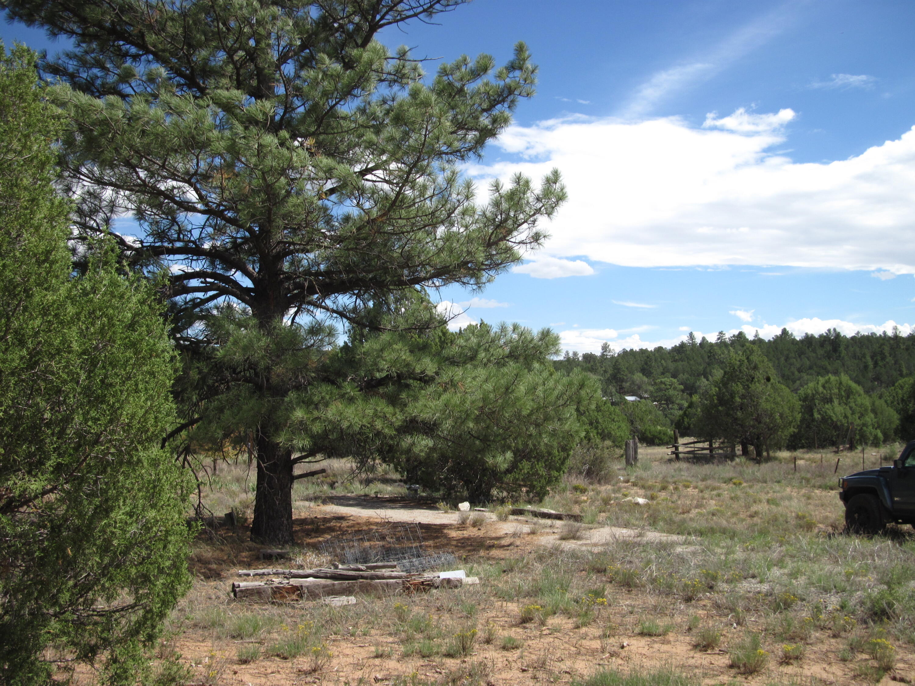 403 Juan Tomas Road, Tijeras, NM 87059
