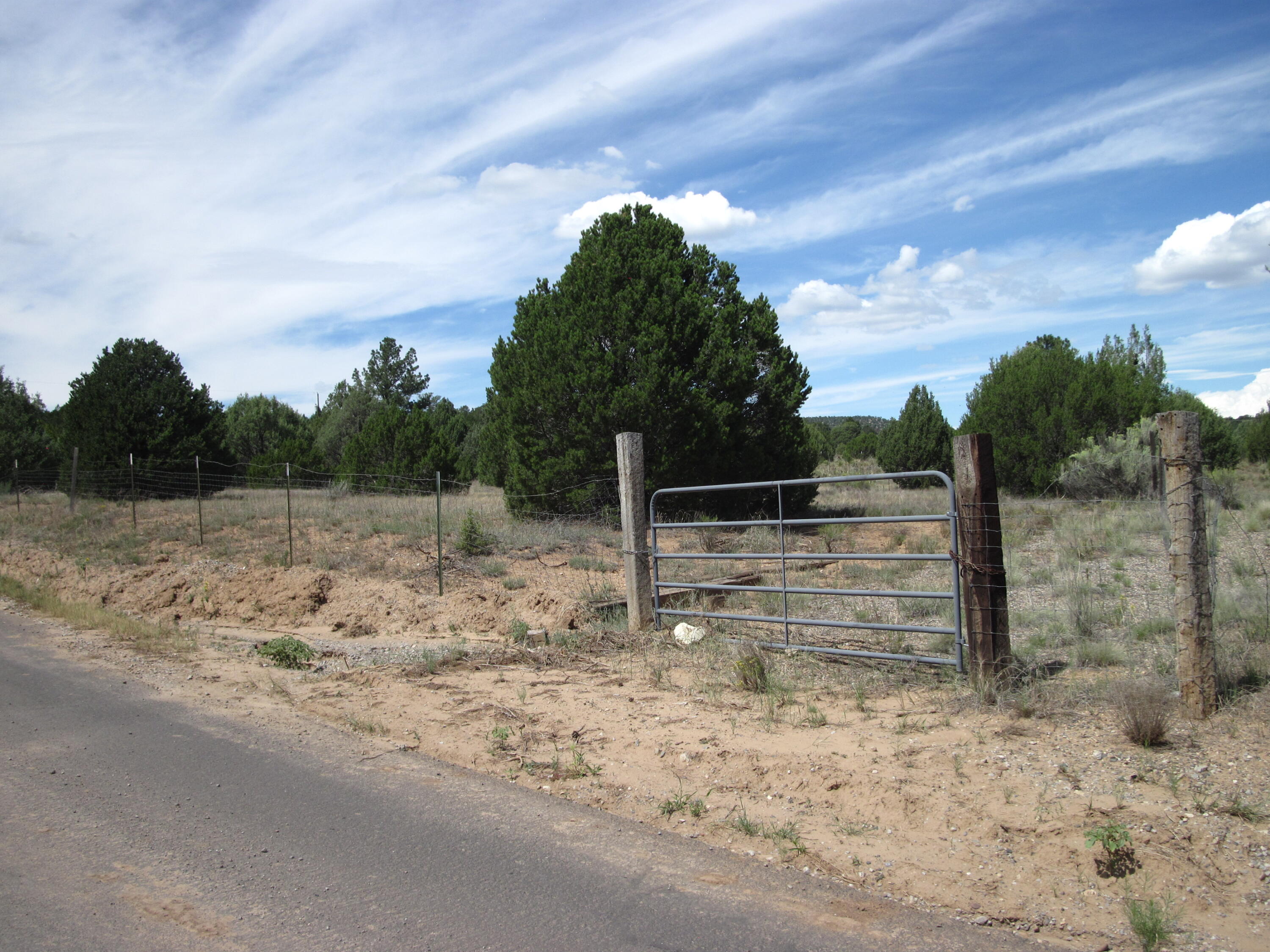 Photo 4 — 403 Juan Tomas Road