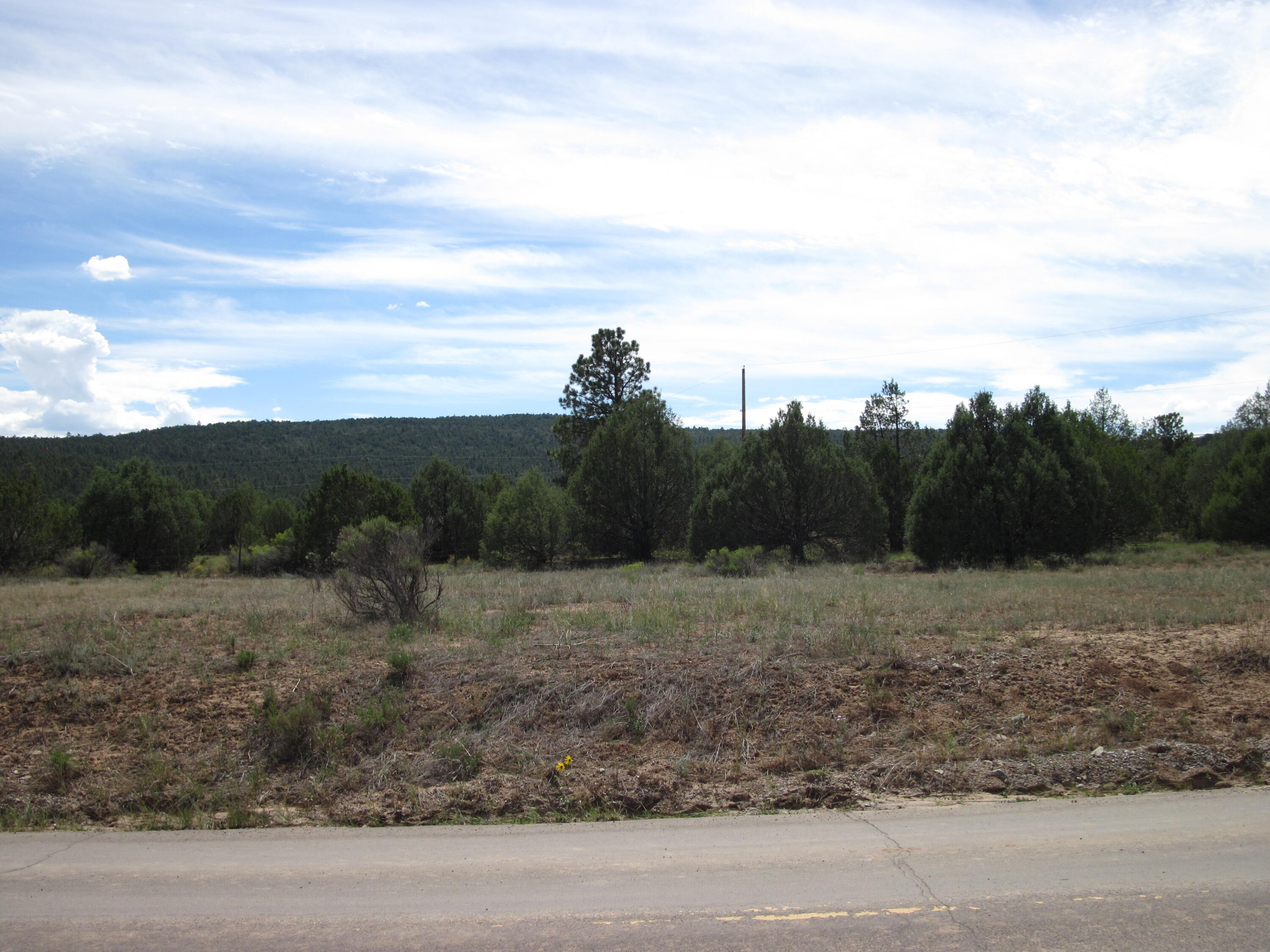 Photo 17 — 403 Juan Tomas Road