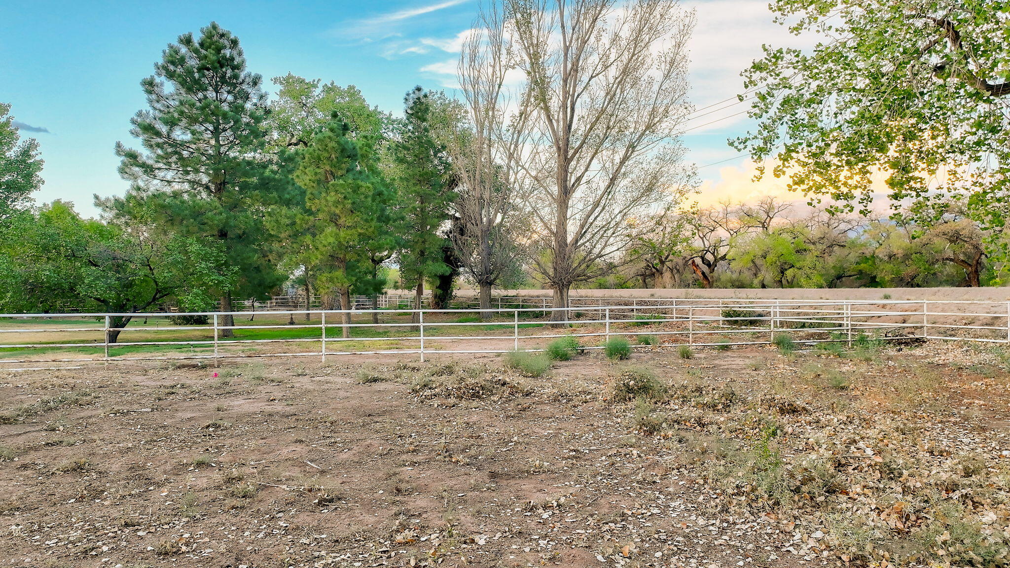 Photo 3 — 1708 Rusty Road NW
