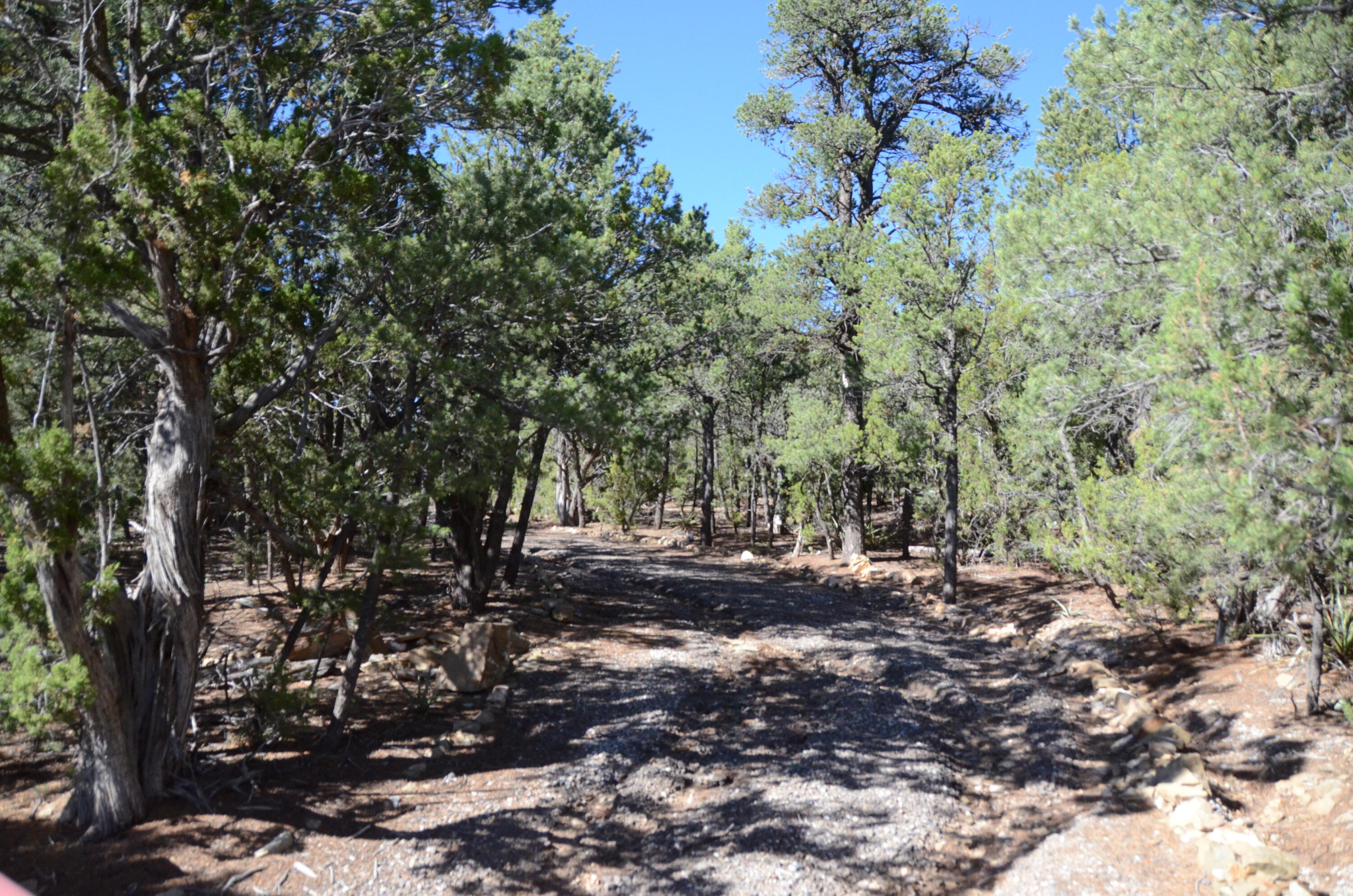 109 Via Sedillo Road, Tijeras, NM 87059