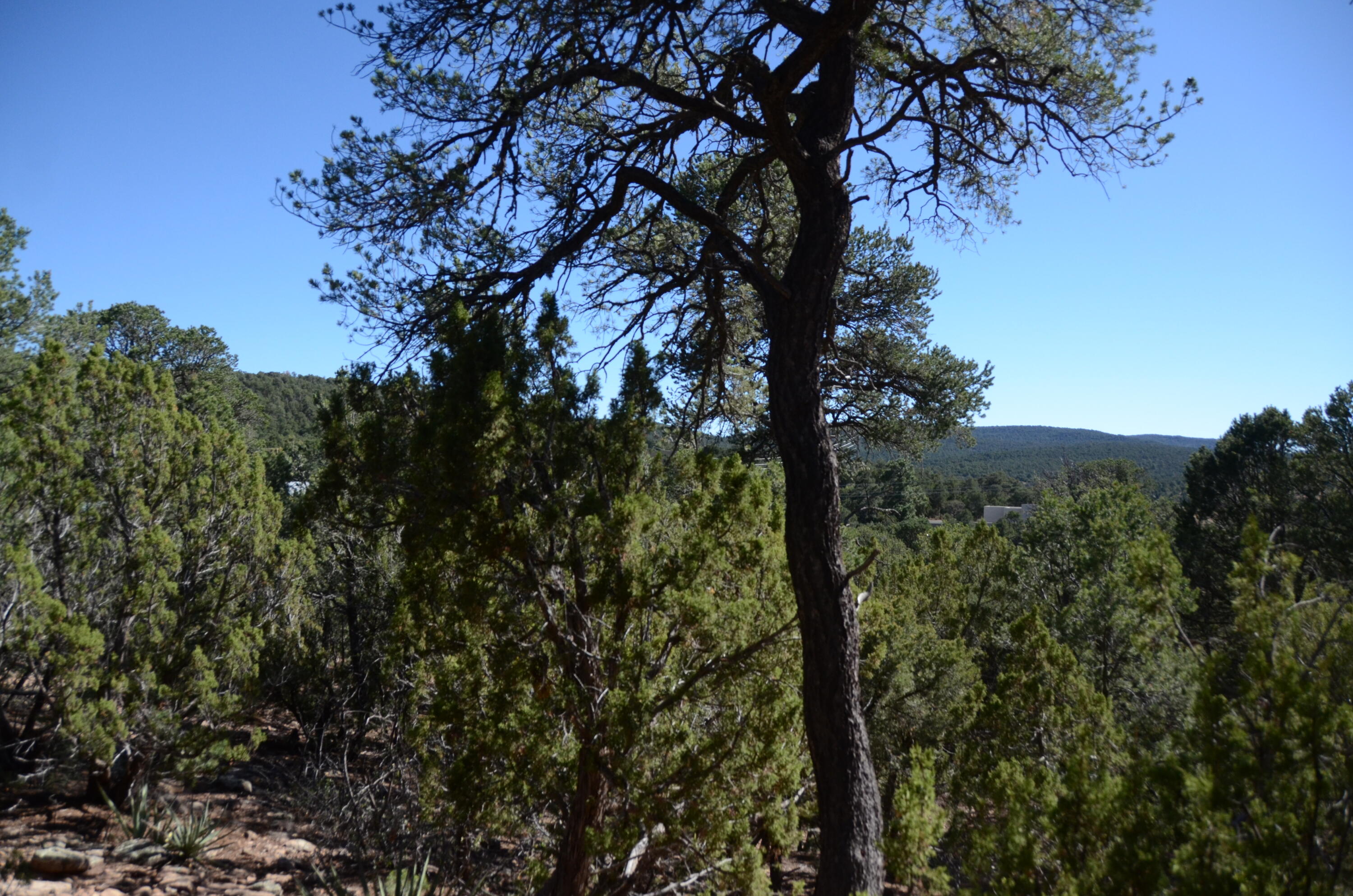 Photo 8 — 109 Via Sedillo Road