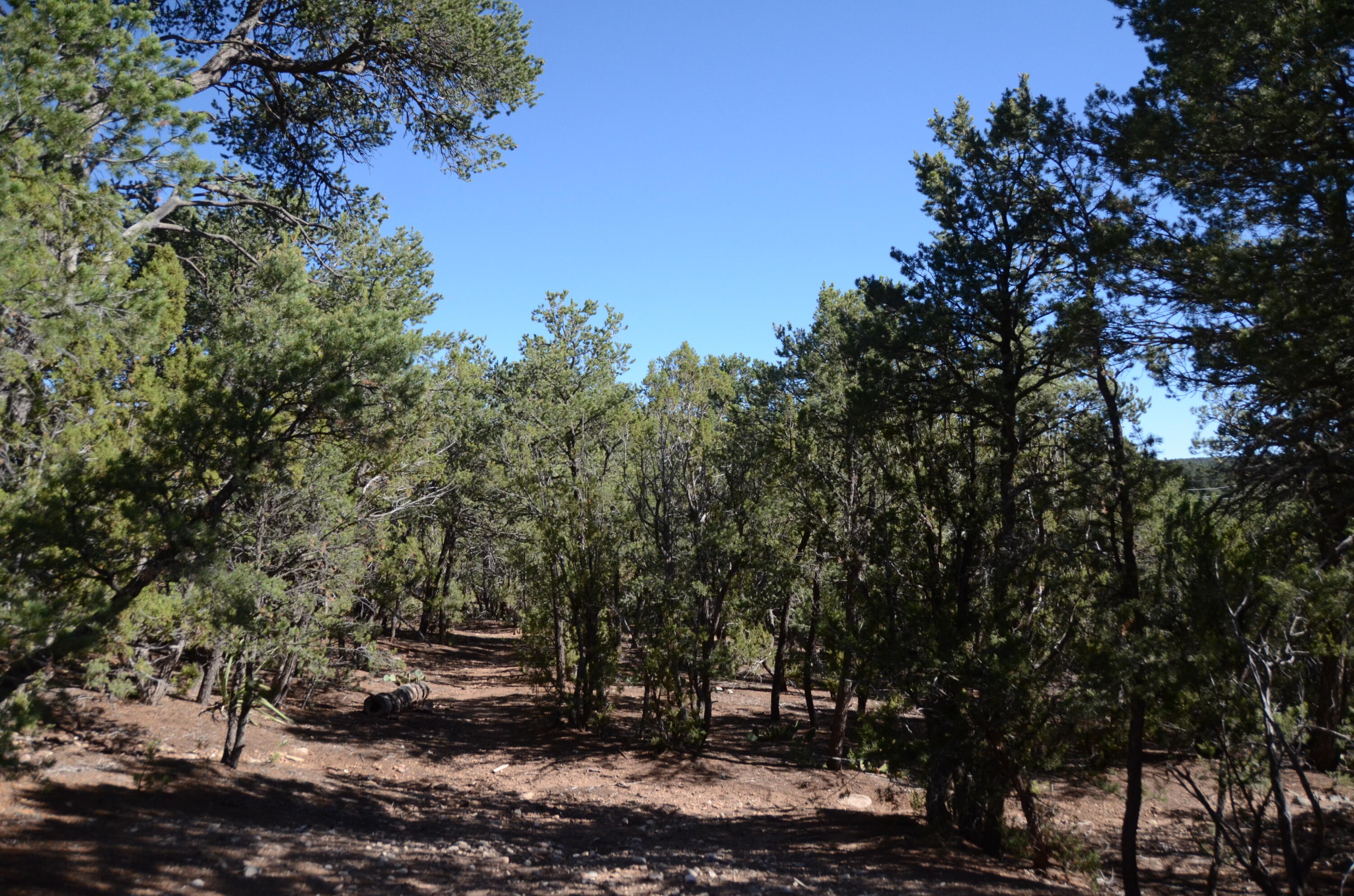Photo 6 — 109 Via Sedillo Road
