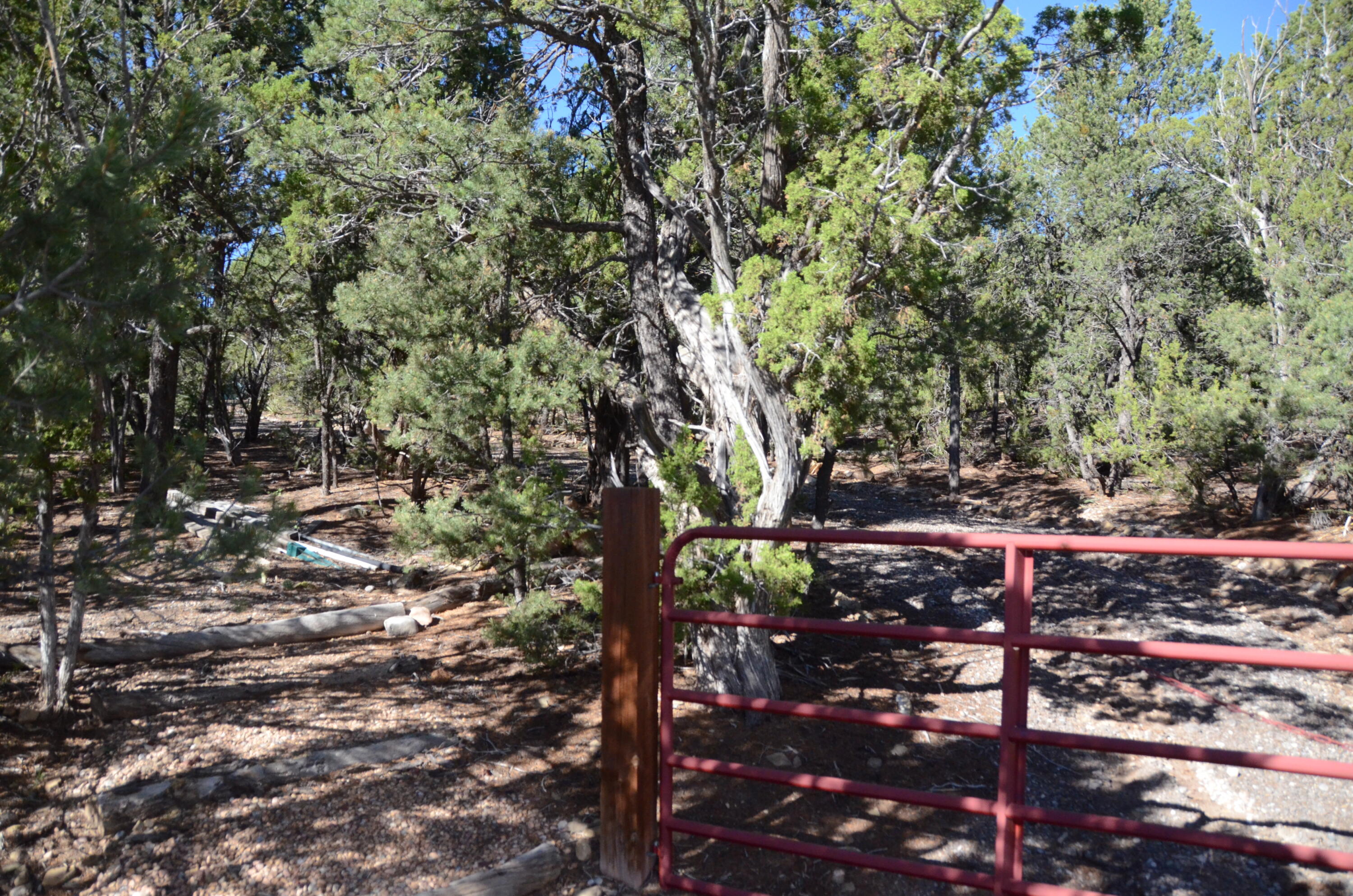 Photo 3 — 109 Via Sedillo Road