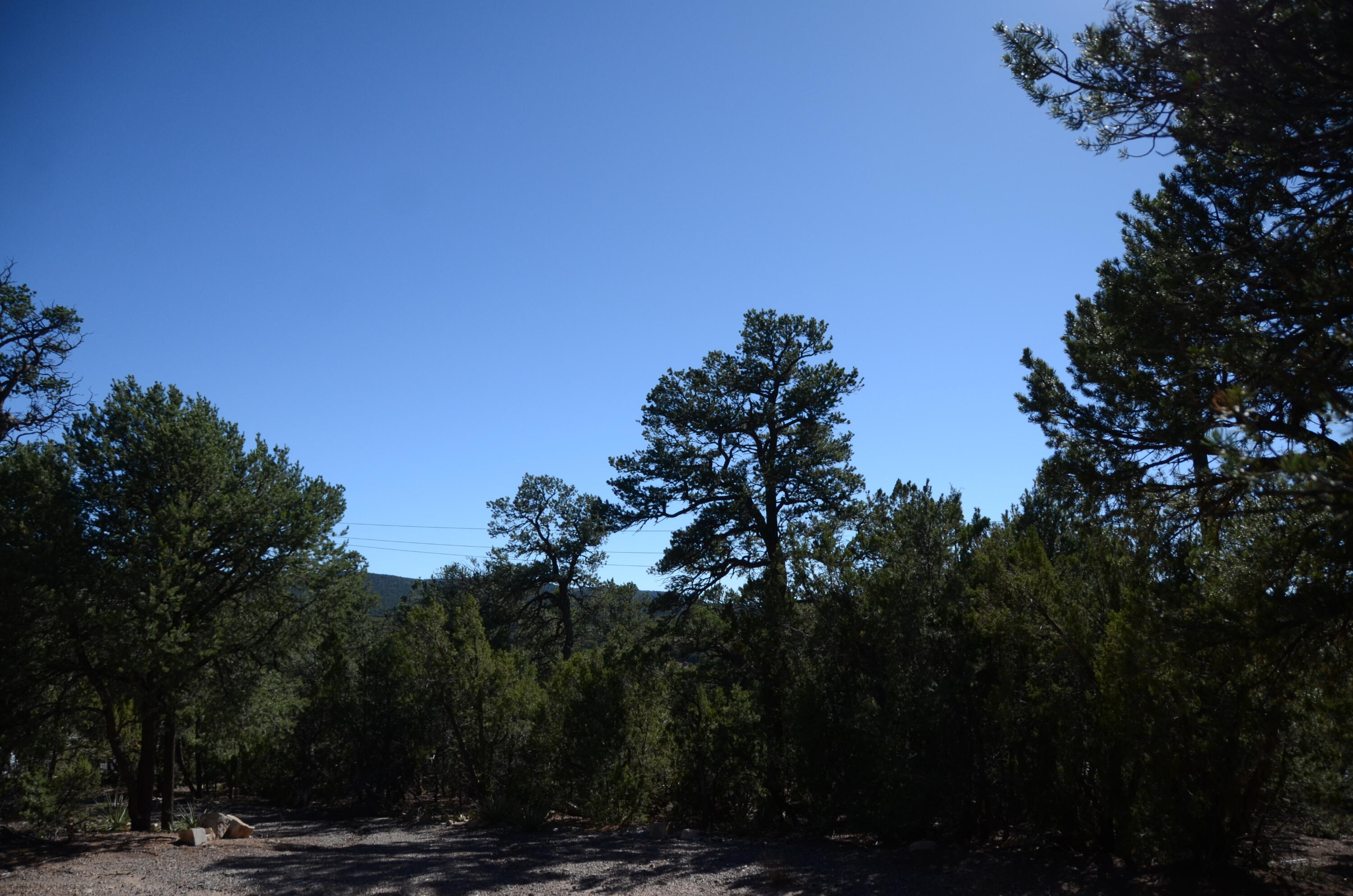 Photo 20 — 109 Via Sedillo Road