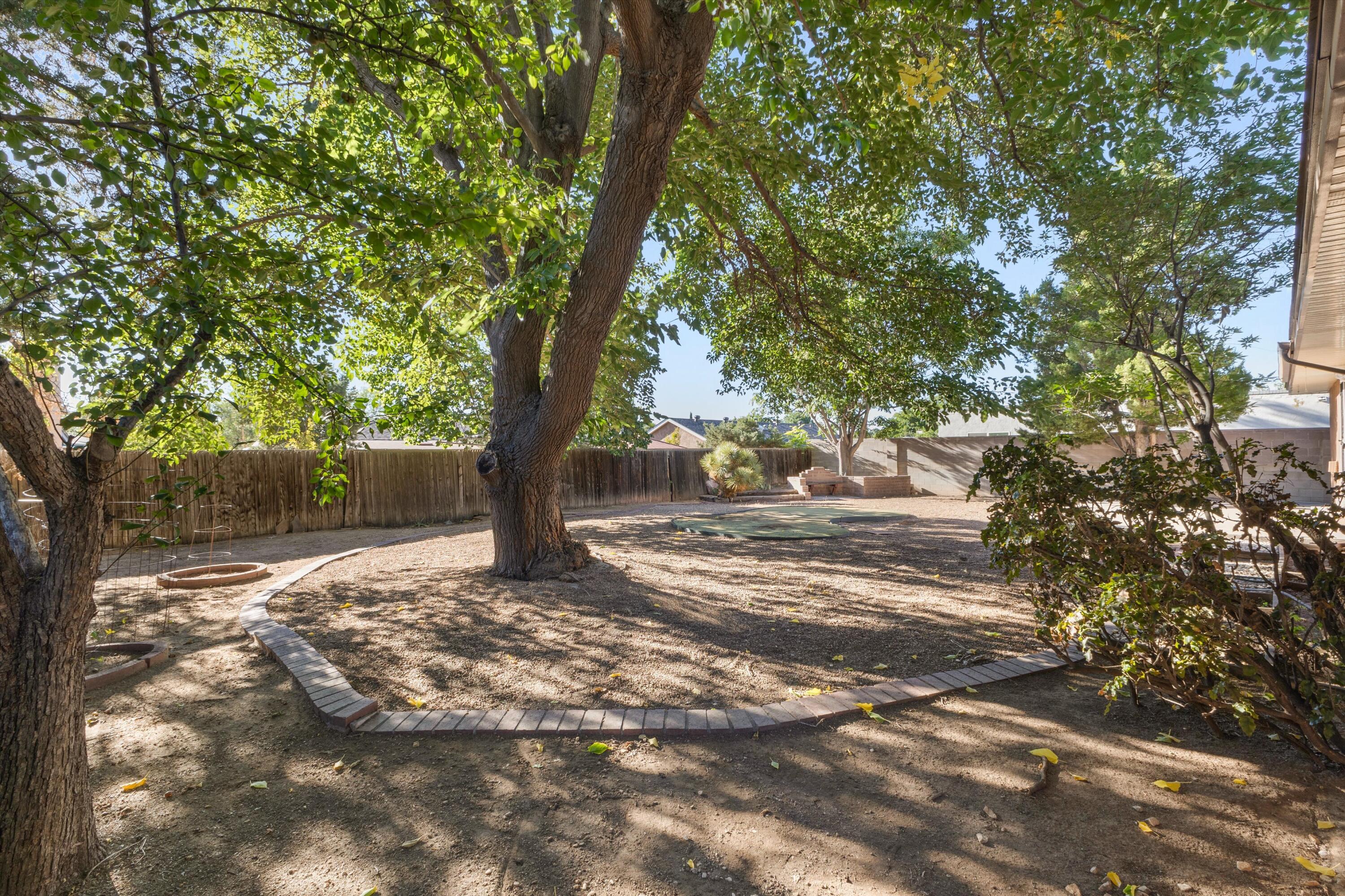 Photo 16 — 4513 Andrew Drive NE