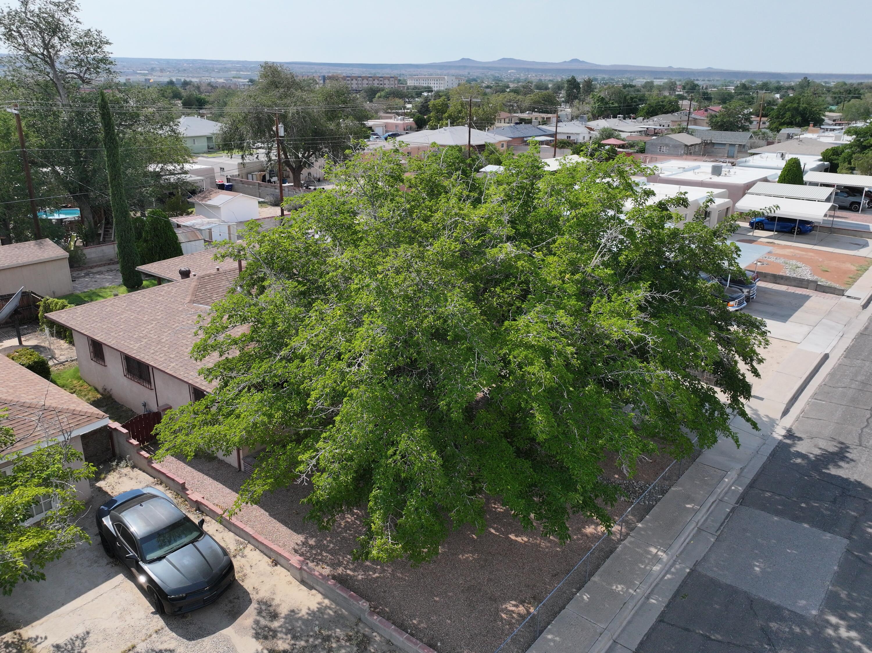 Photo 13 — 309 Estancia Drive NW