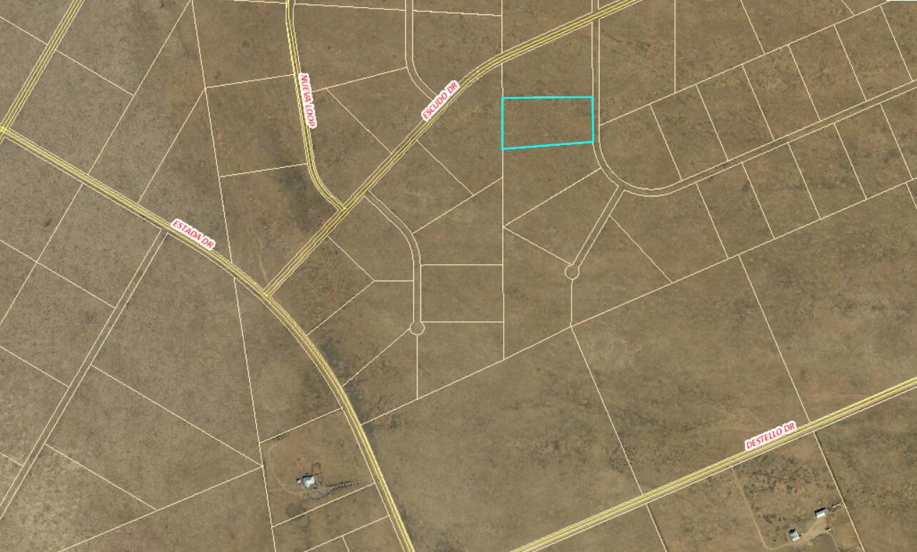 Lot 42 Mango Loop