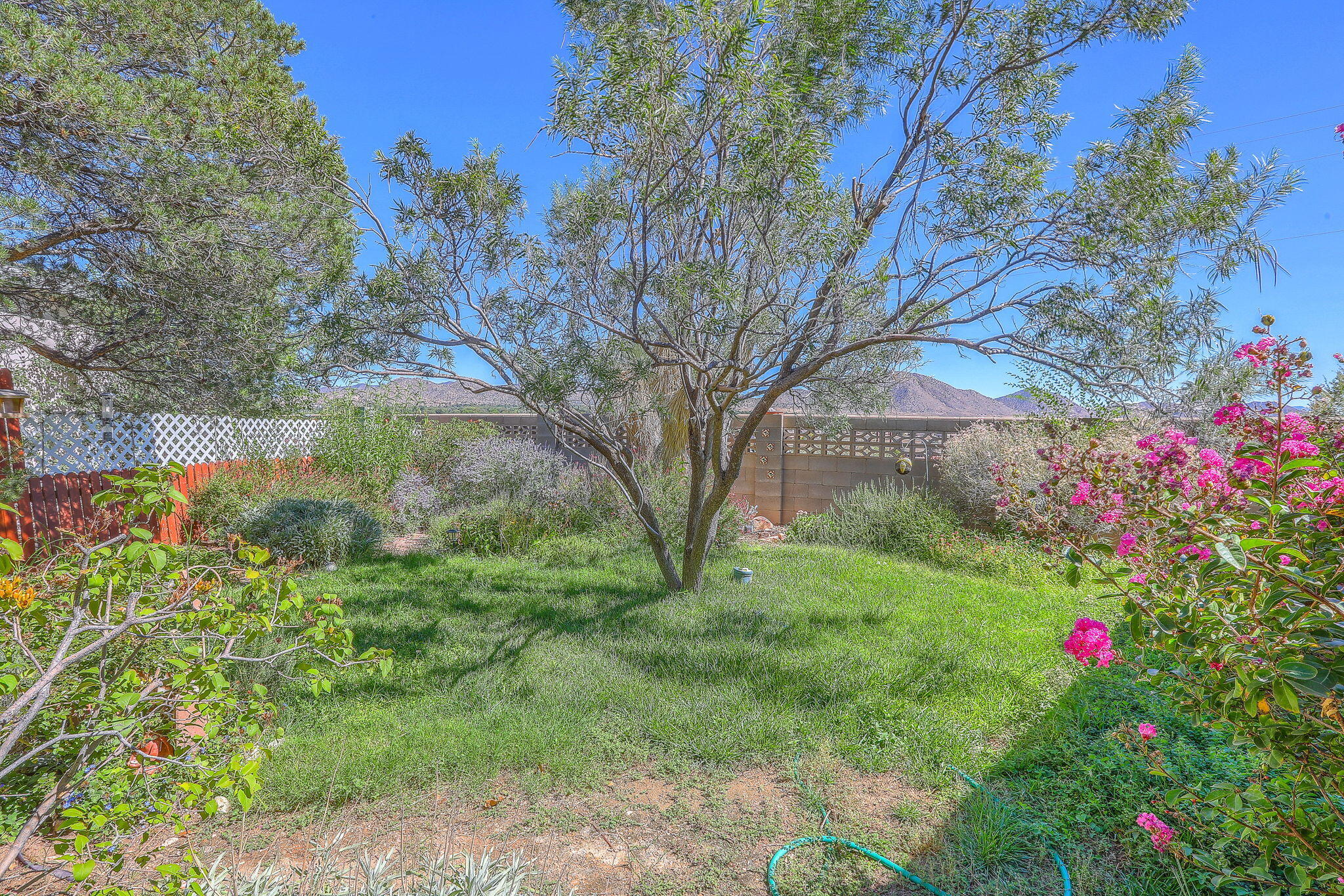 Photo 20 — 11638 Wild Horse Trail SE