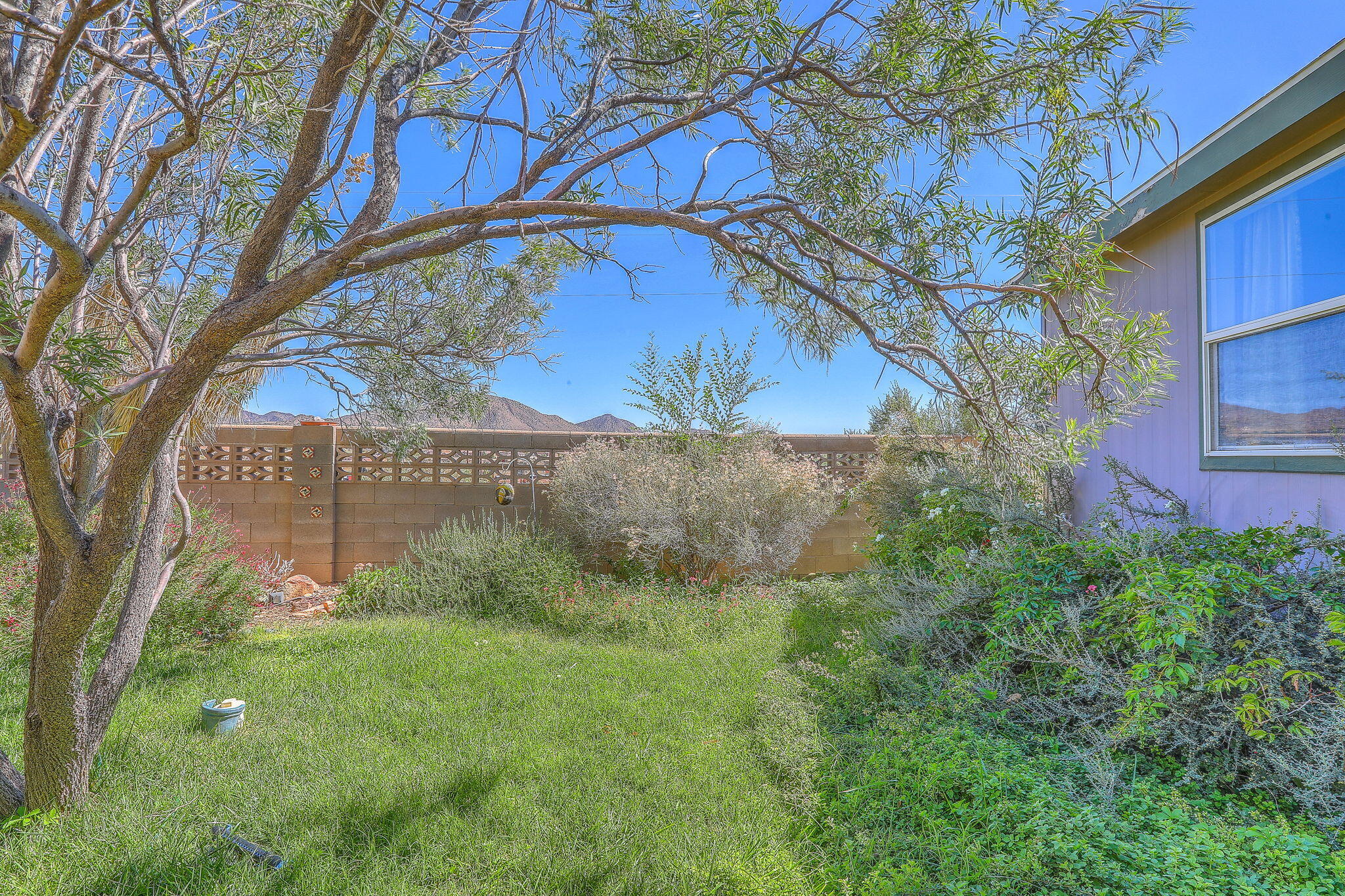 Photo 19 — 11638 Wild Horse Trail SE