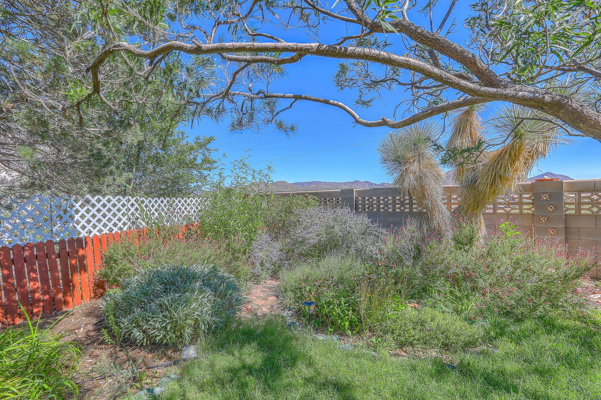 Photo 18 — 11638 Wild Horse Trail SE