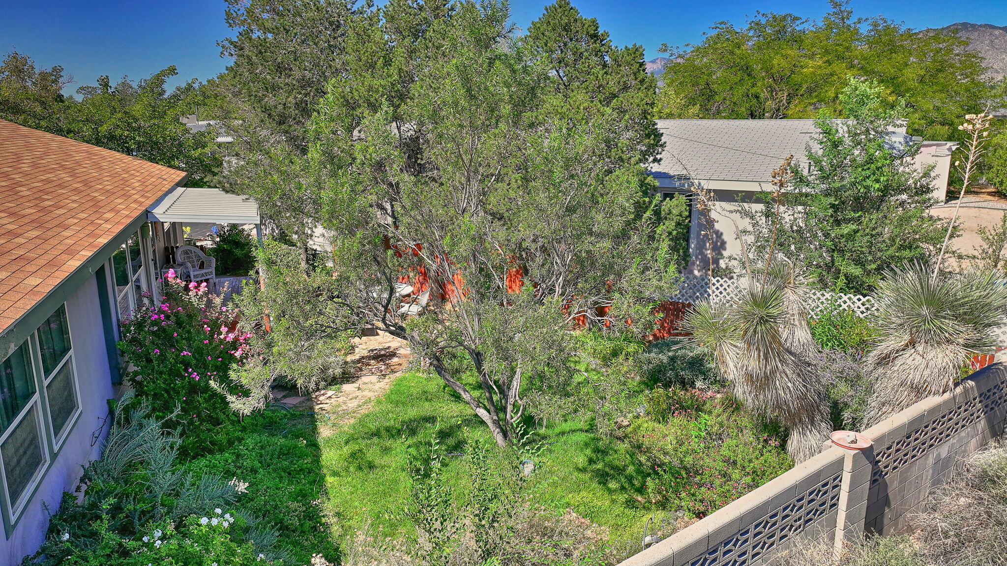 Photo 7 — 11638 Wild Horse Trail SE