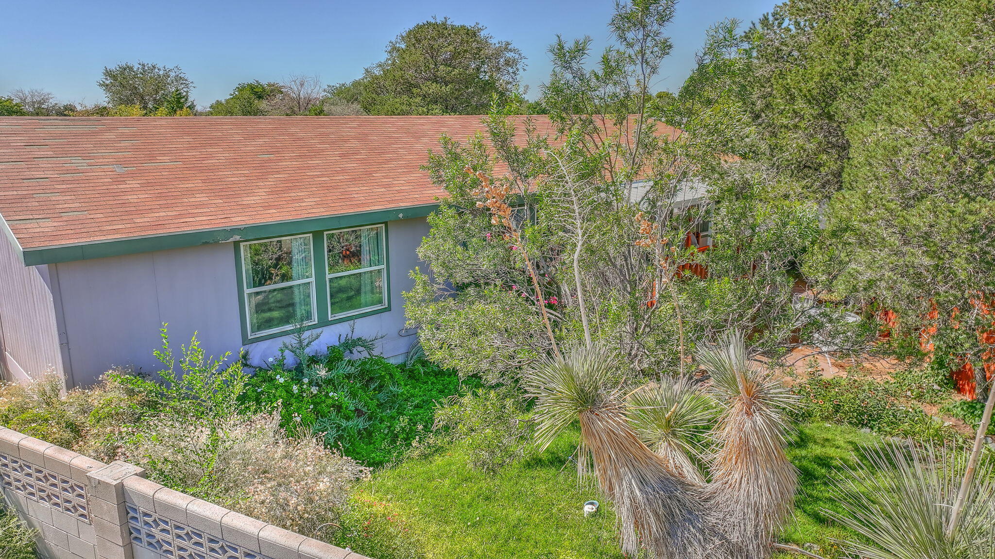 Photo 6 — 11638 Wild Horse Trail SE