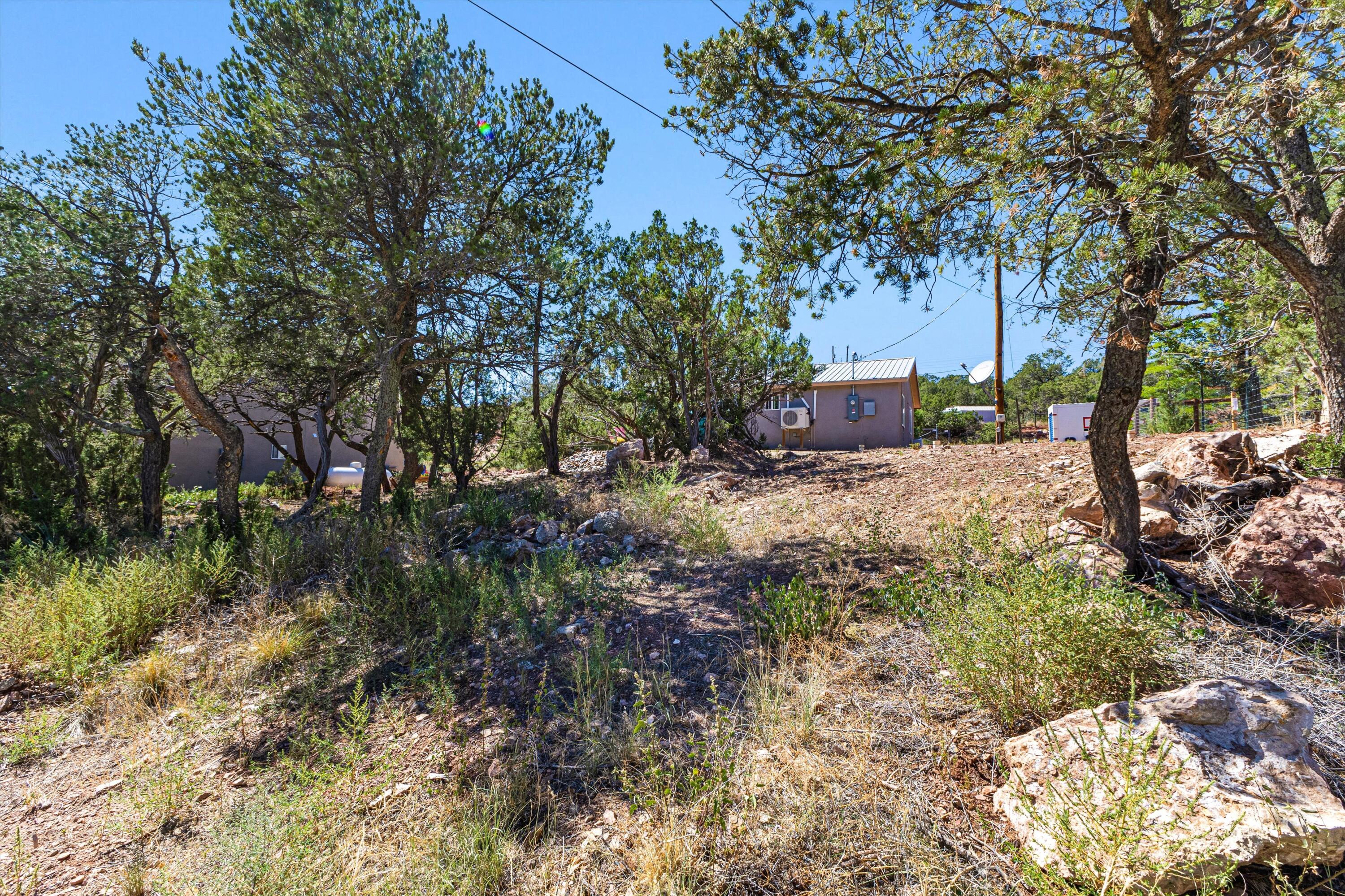 Photo 12 — 22 Kelly Lynn Drive