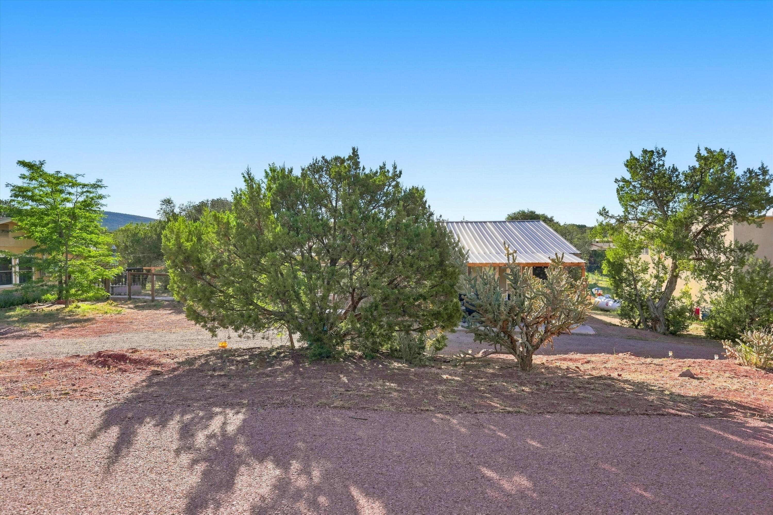 Photo 5 — 22 Kelly Lynn Drive
