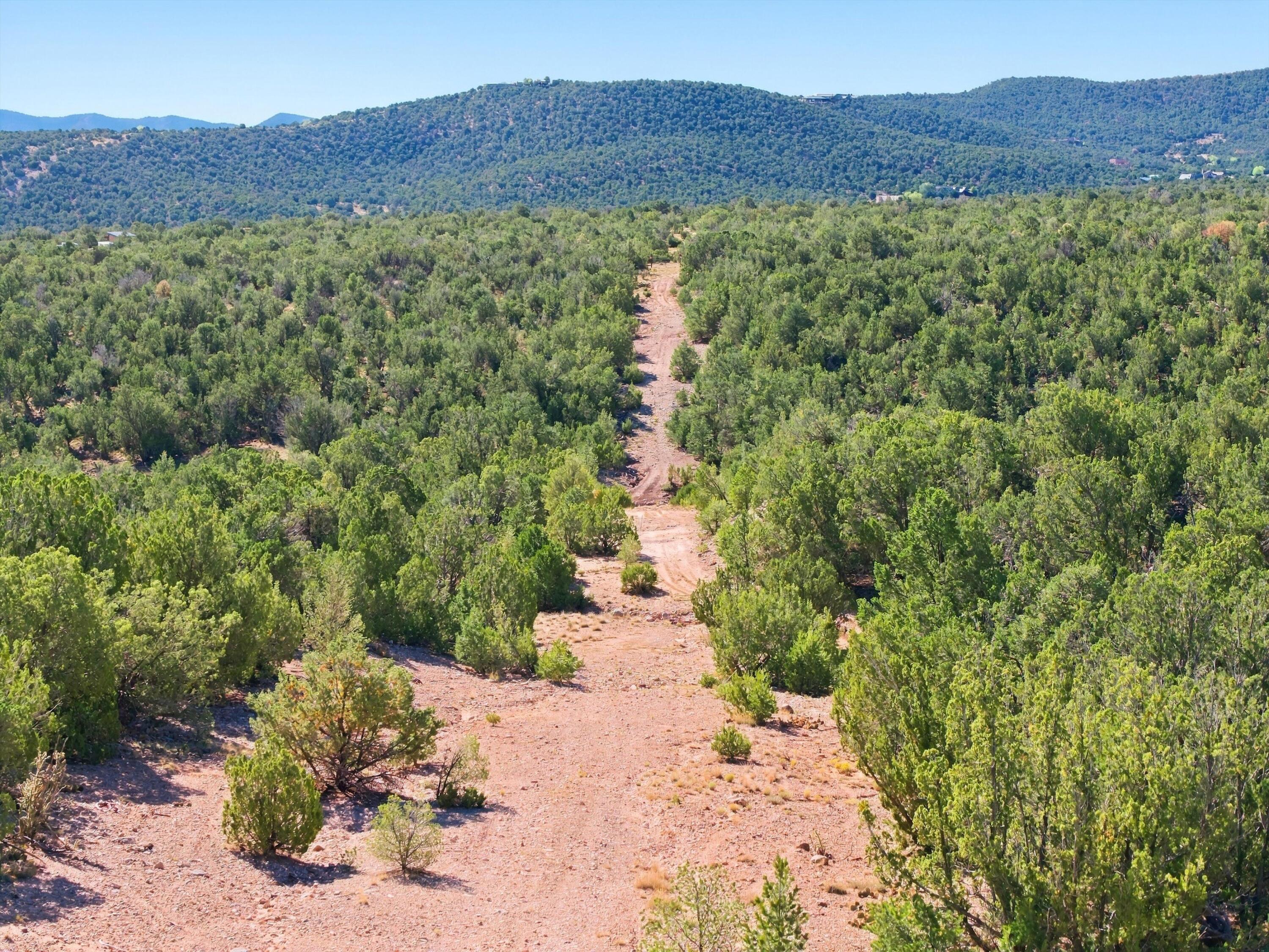 Photo 6 — 00 Pinon Park Trail