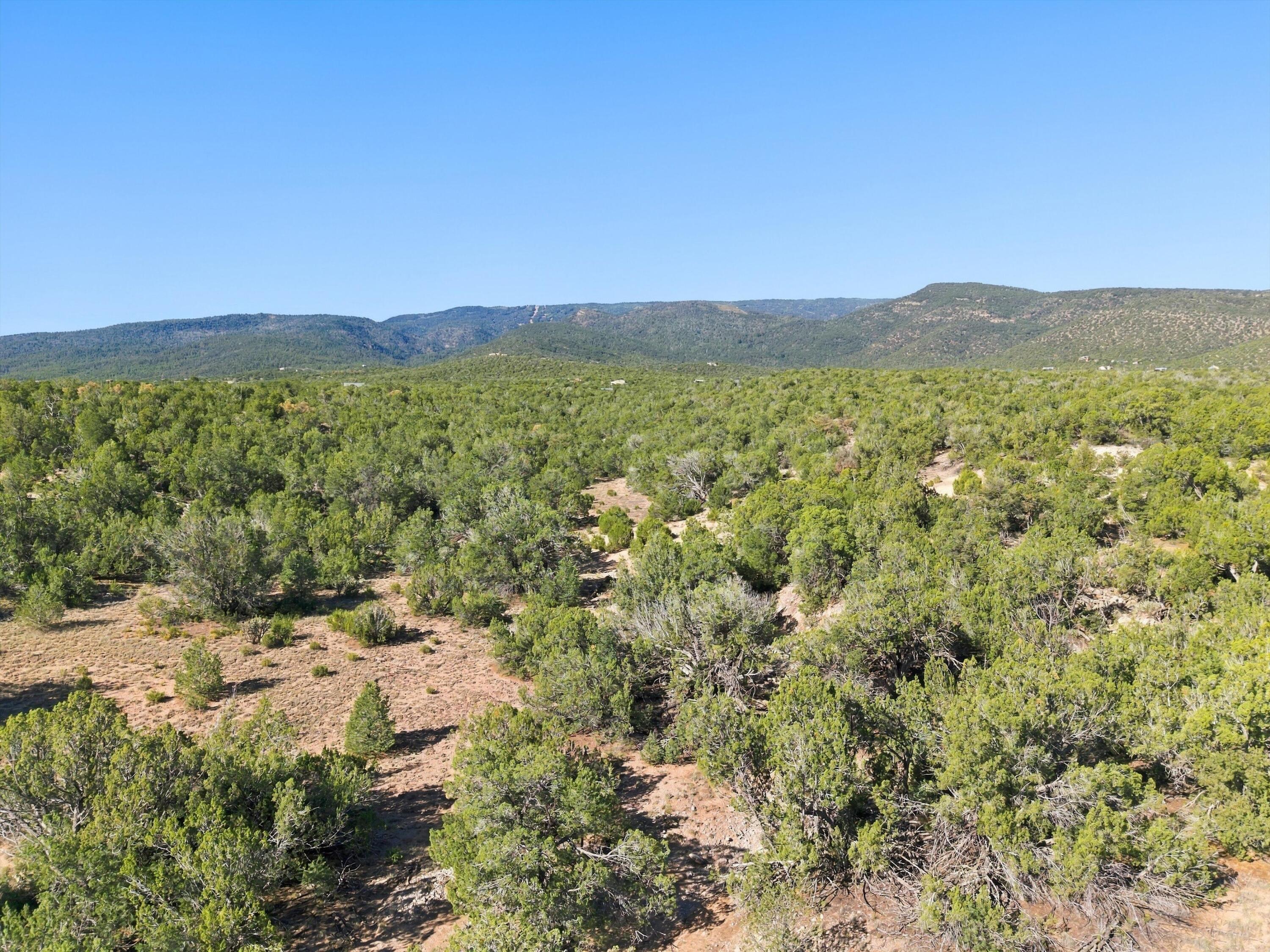 Photo 2 — 00 Pinon Park Trail