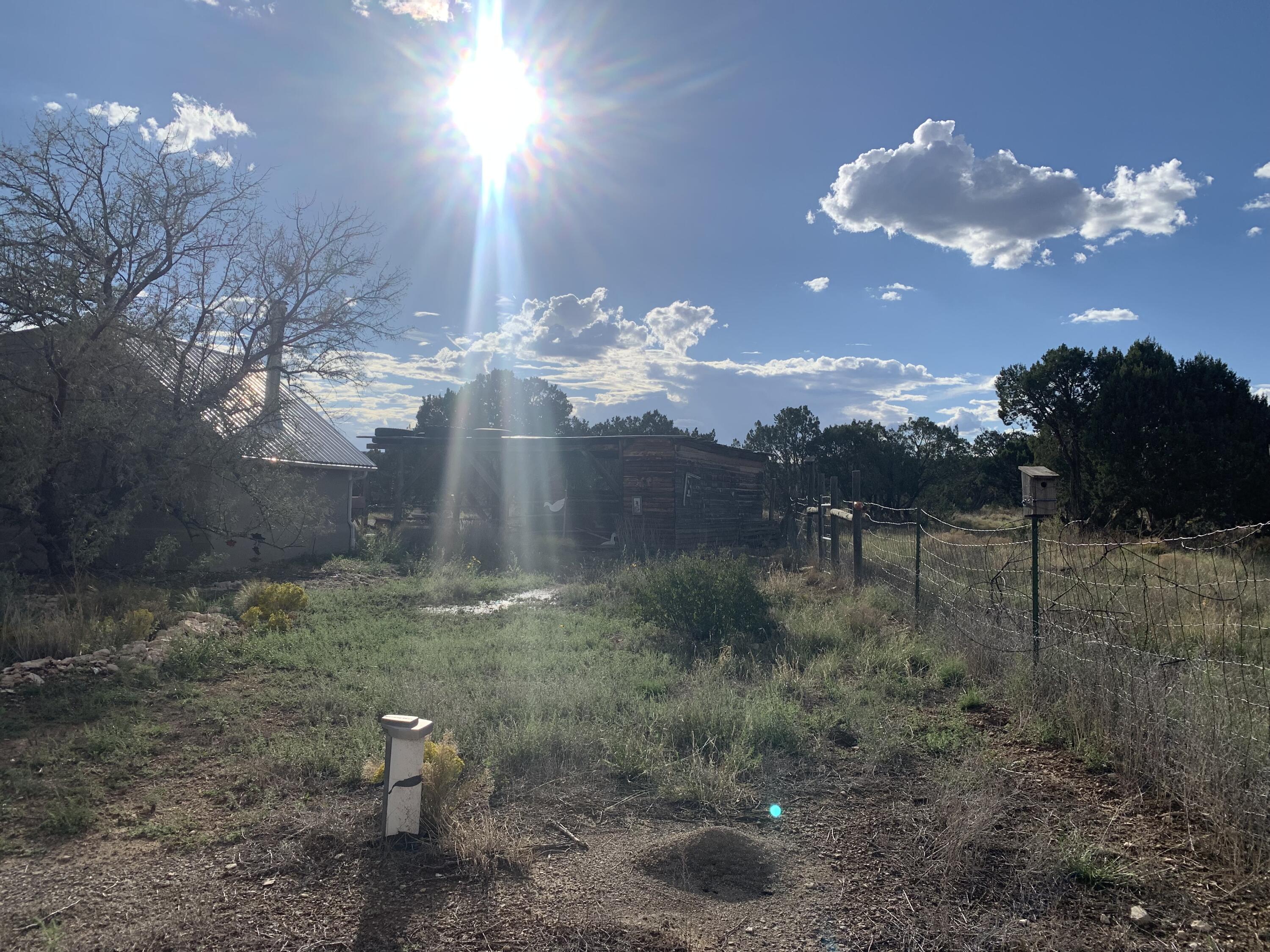 Photo 3 — 130 Stream Road