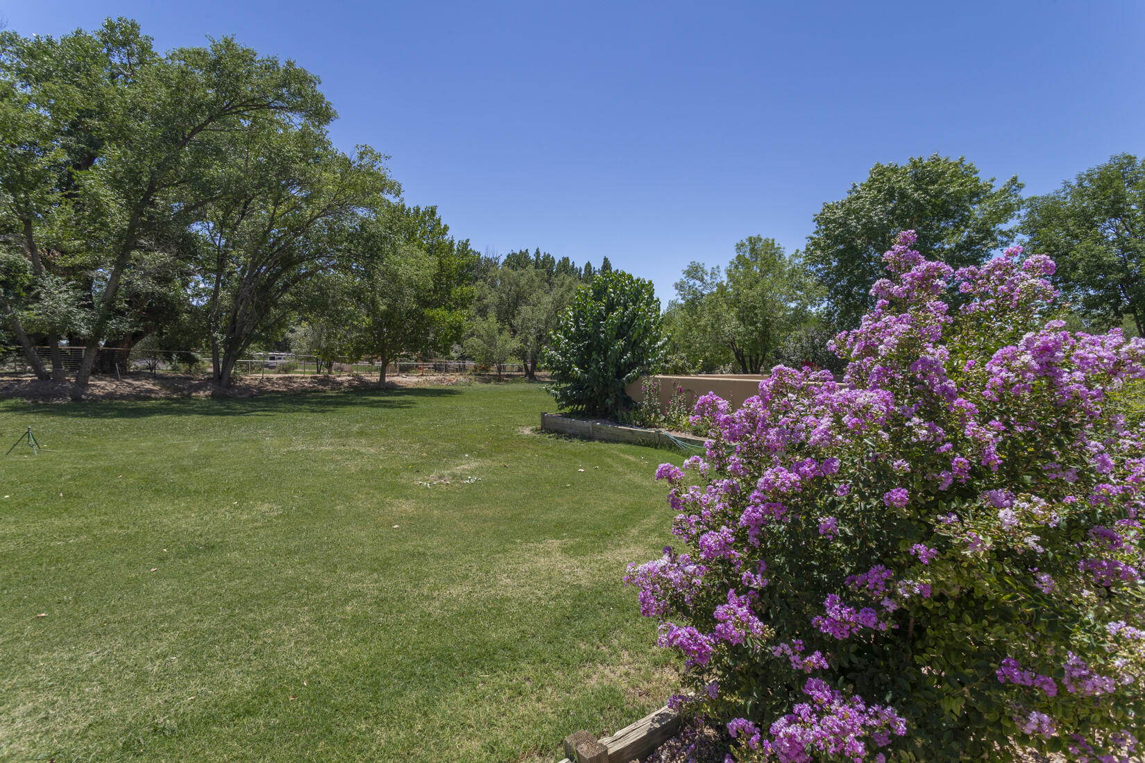 Photo 20 — 220 Del Norte Court