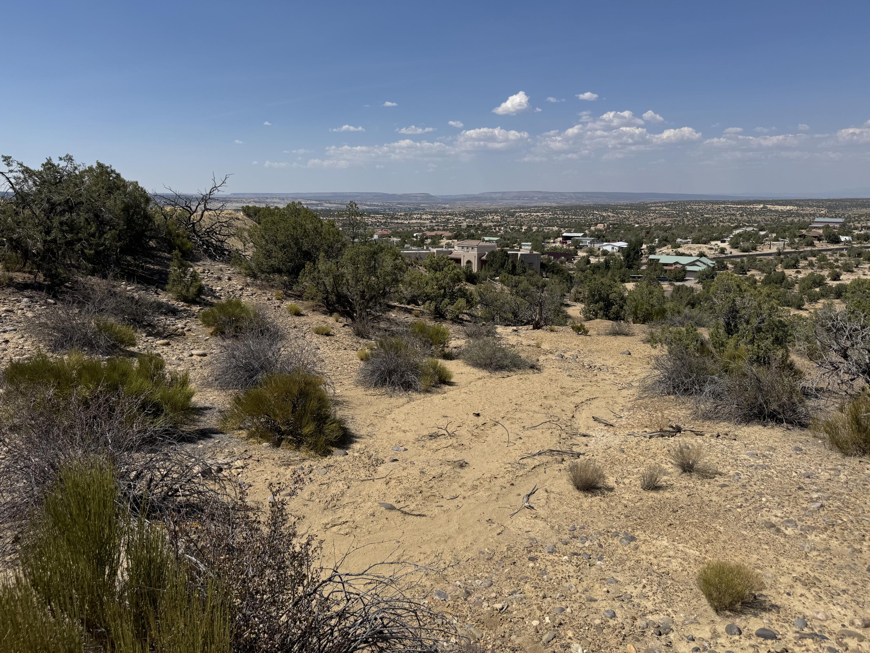 Photo 4 —  Lions Trail