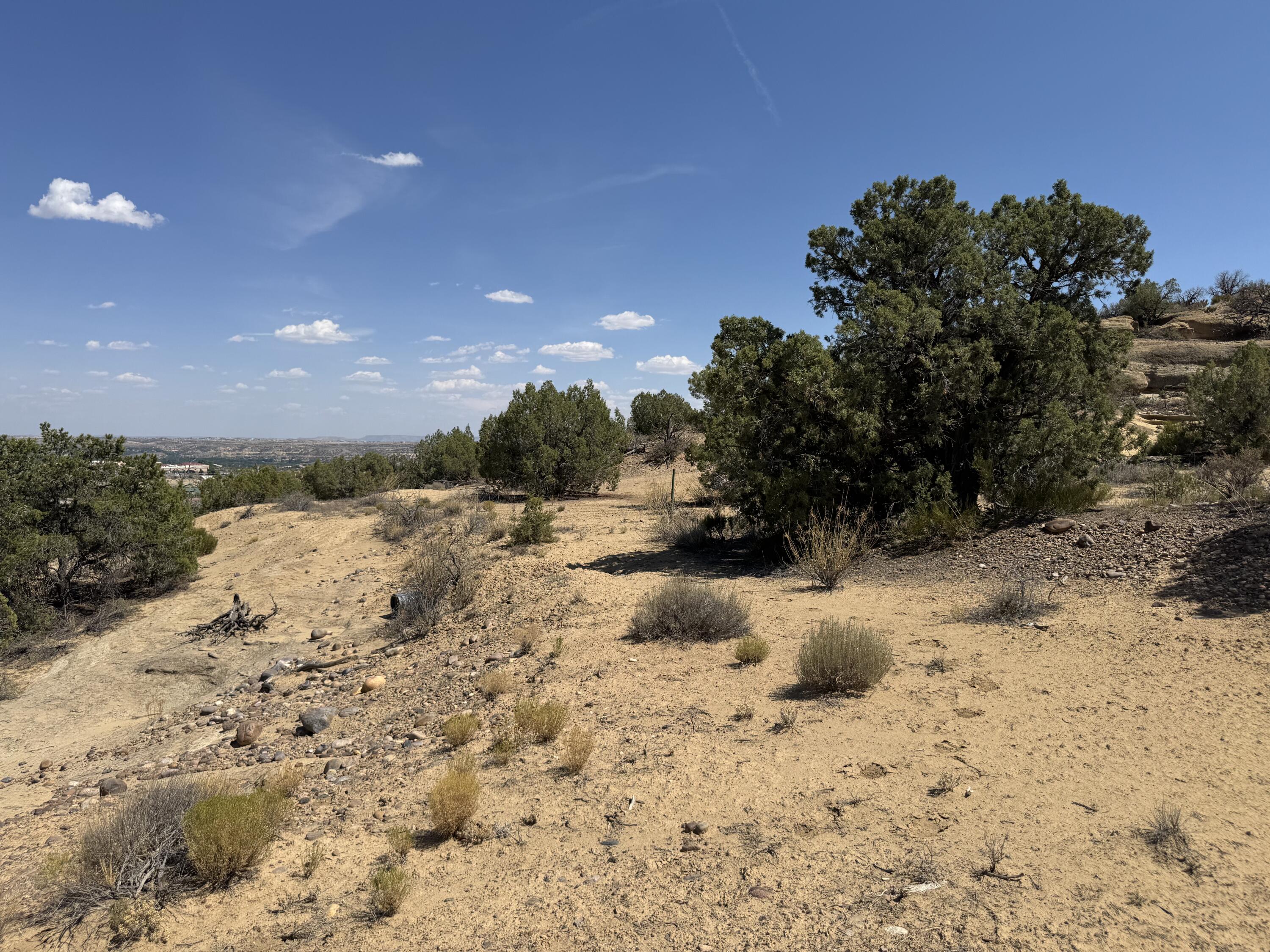 Photo 5 —  Lions Trail