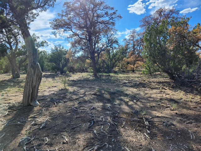 Photo 17 — 15 Cattle Track Drive