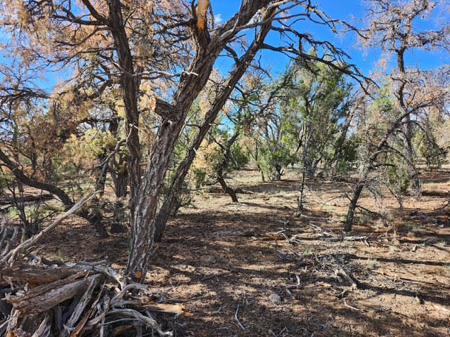 Photo 2 — 15 Cattle Track Drive