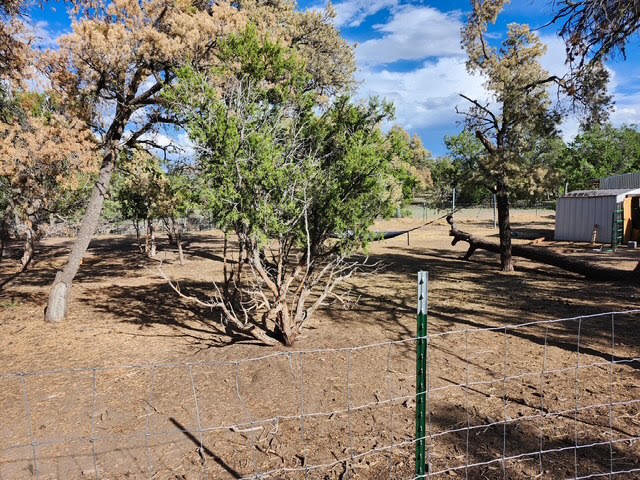 Photo 3 — 15 Cattle Track Drive