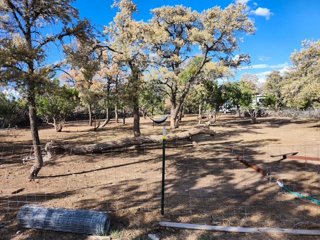 Photo 4 — 15 Cattle Track Drive