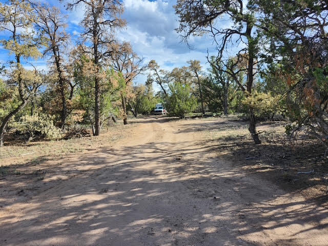 Photo 7 — 15 Cattle Track Drive
