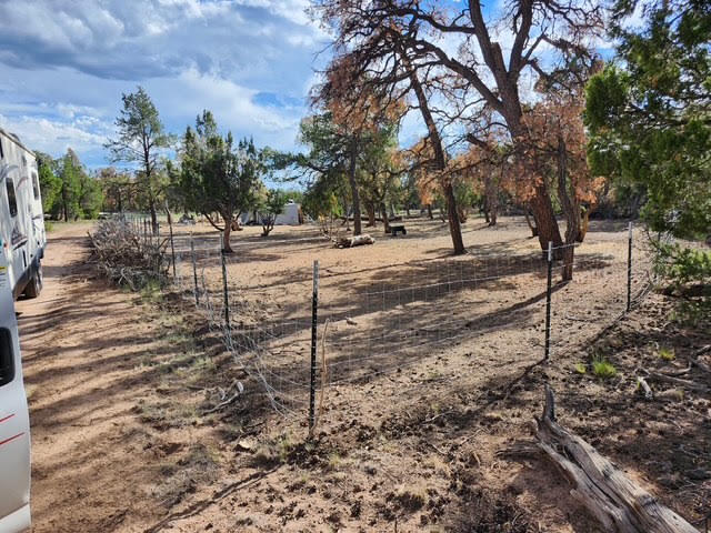 Photo 8 — 15 Cattle Track Drive