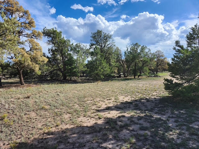 Photo 10 — 15 Cattle Track Drive