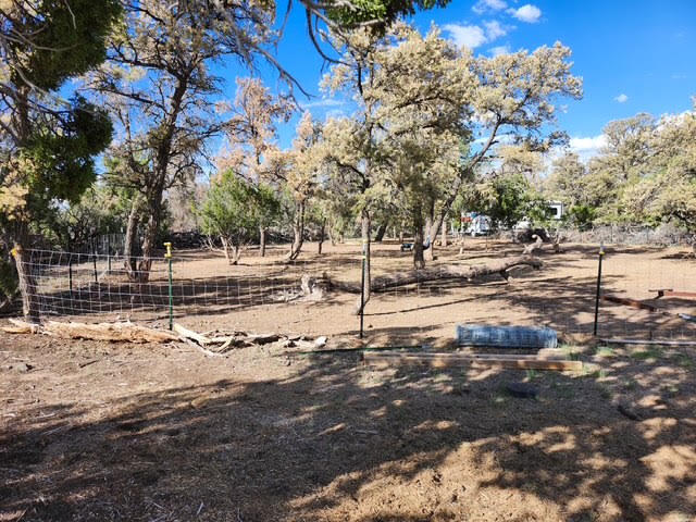Photo 16 — 15 Cattle Track Drive